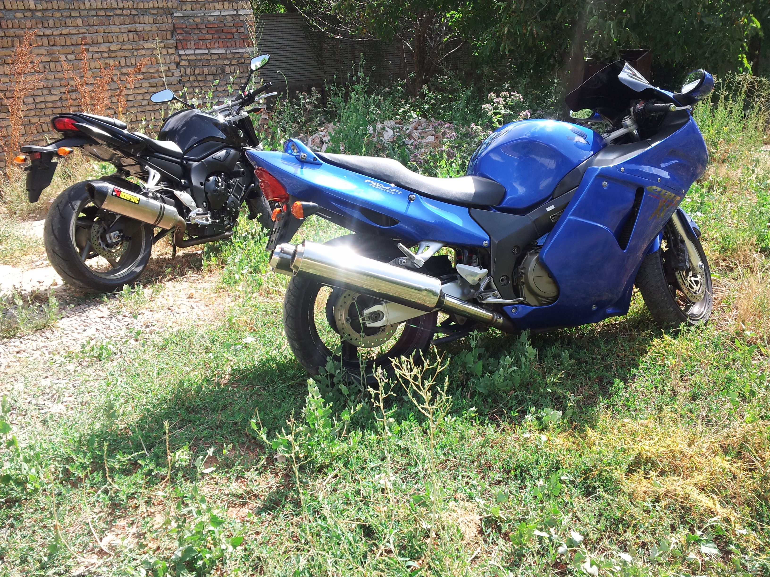 Photo 2585871