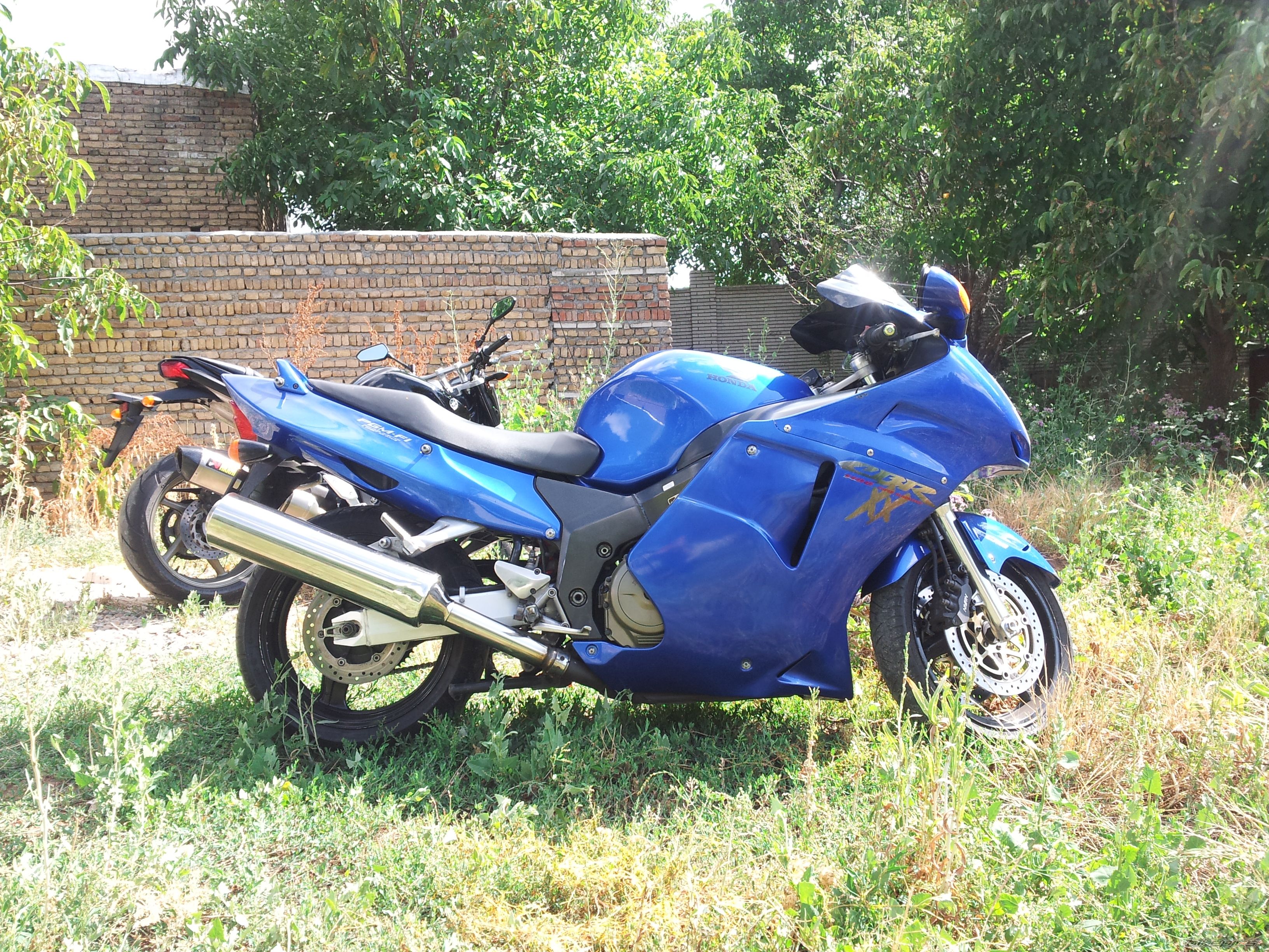 Photo 2585881