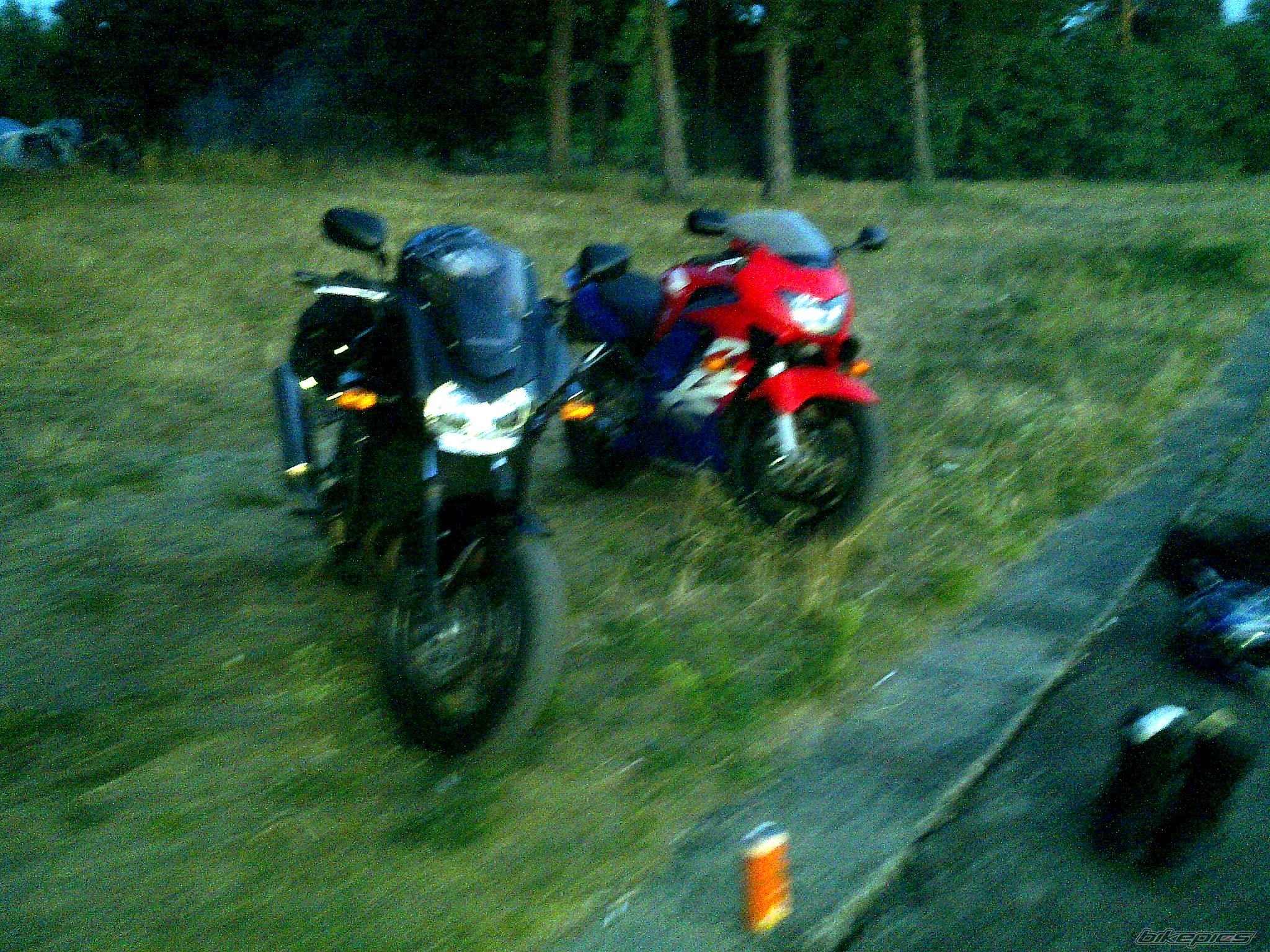 Photo 2585935