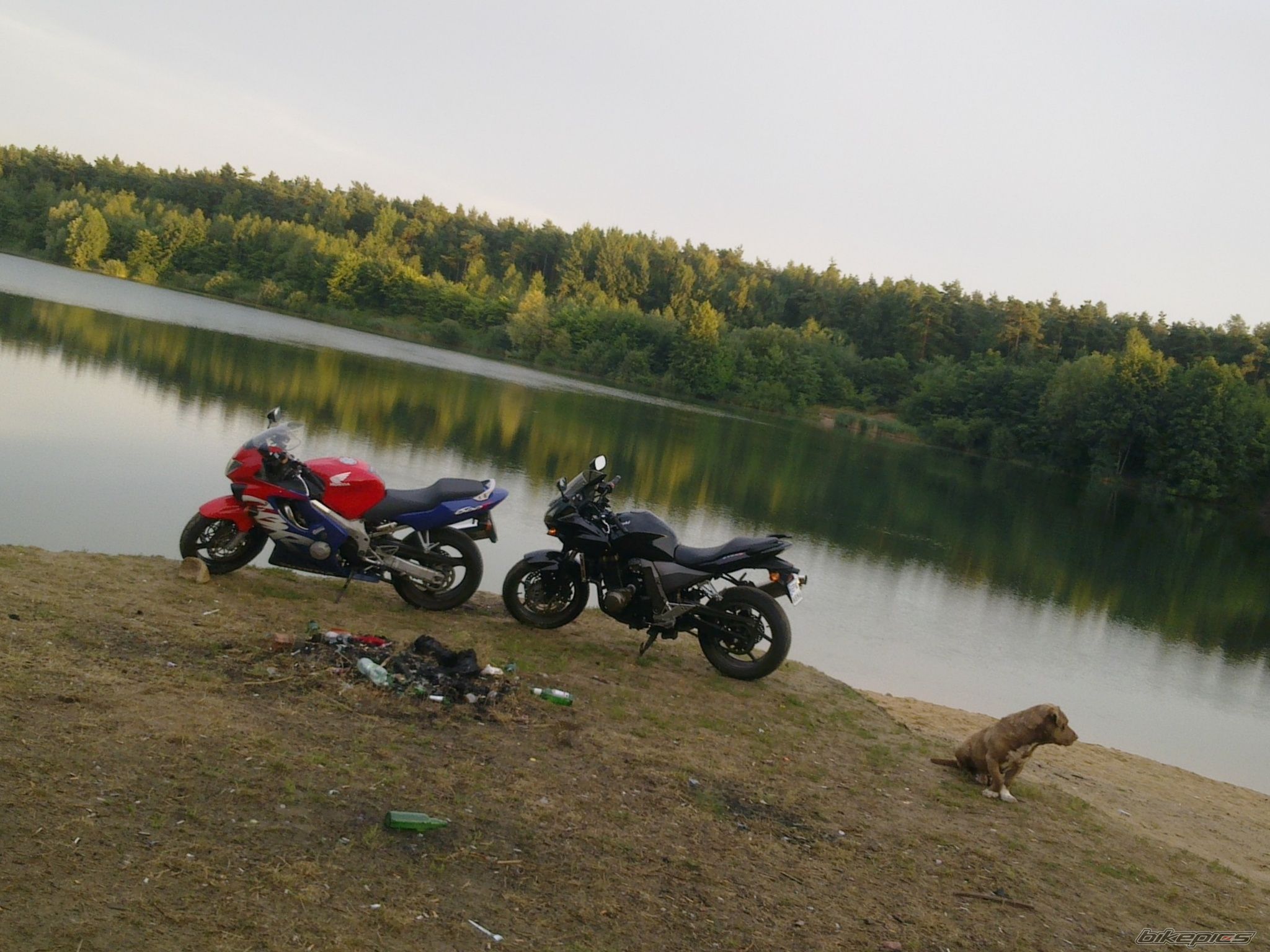 Photo 2585948