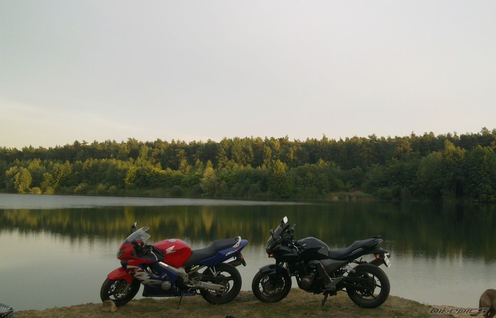 Photo 2585950