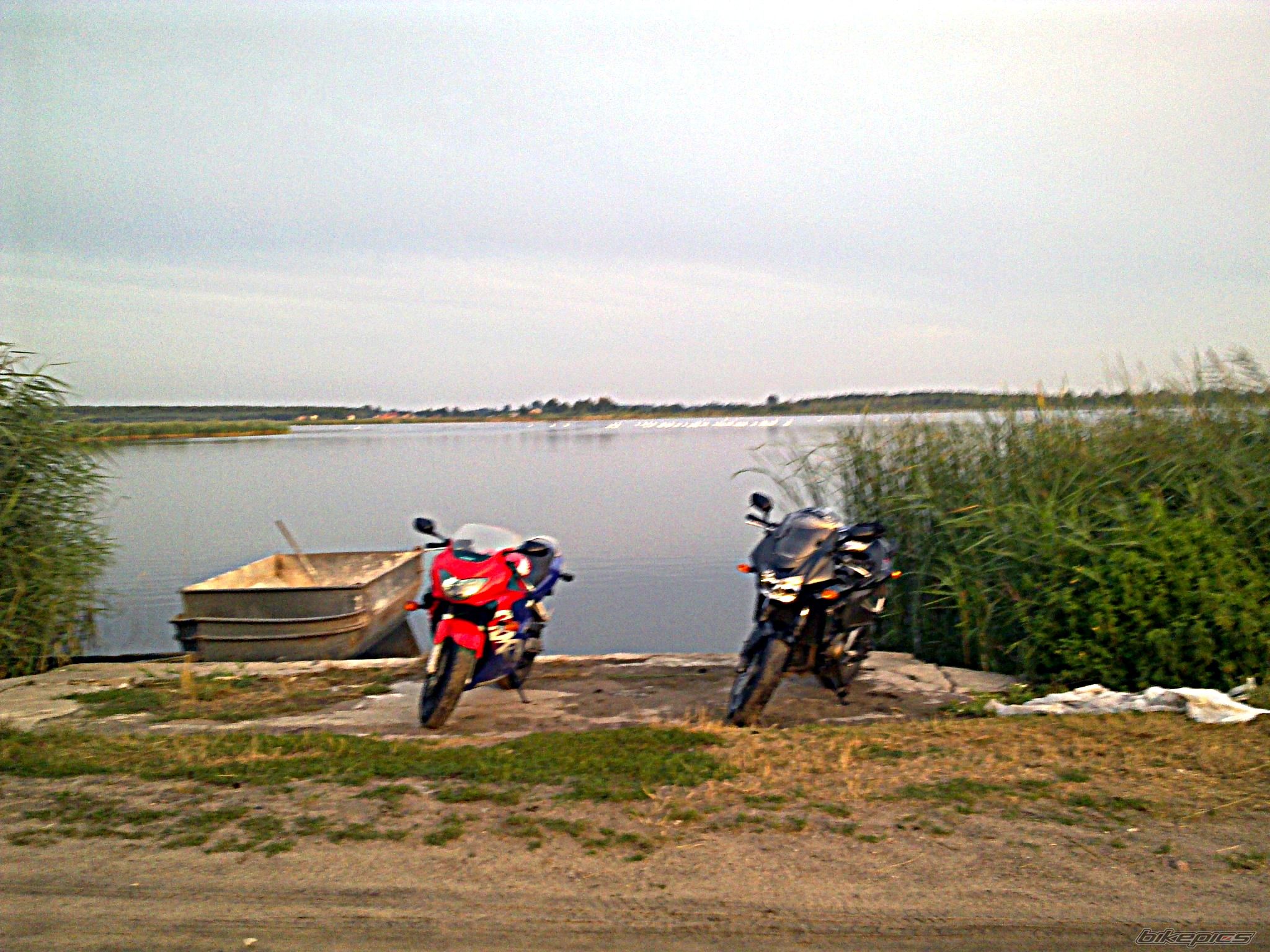 Photo 2585955