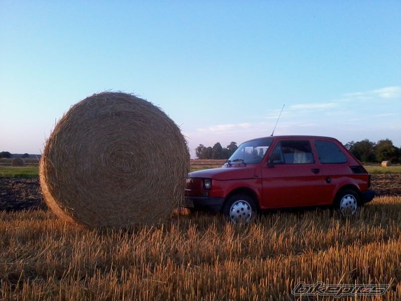Photo 2586153