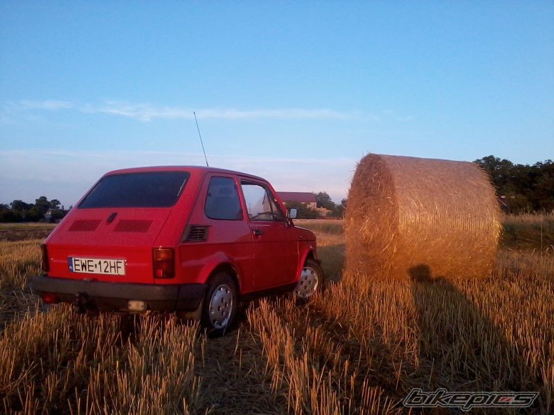 Photo 2586156