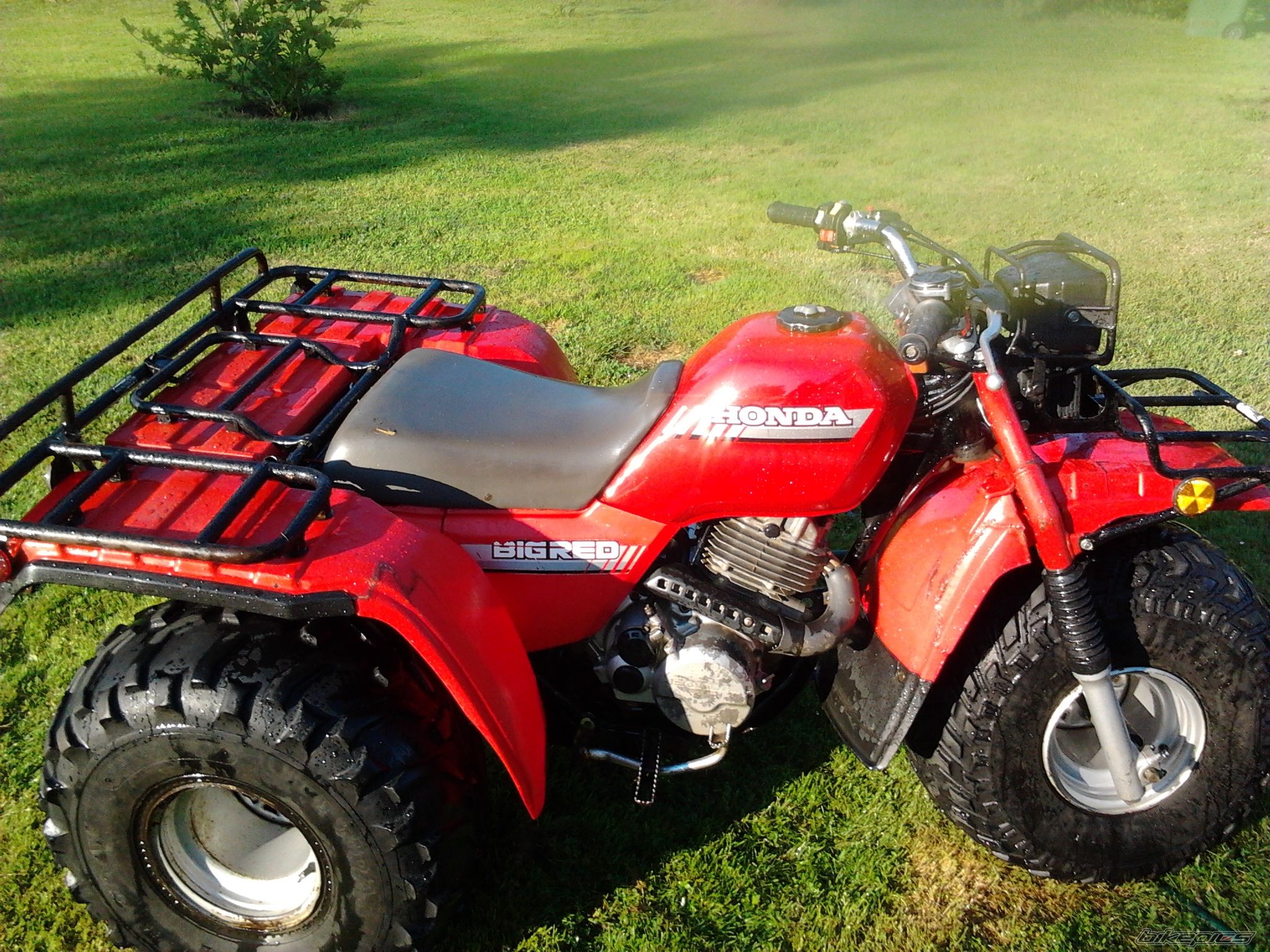 Photo 2586339