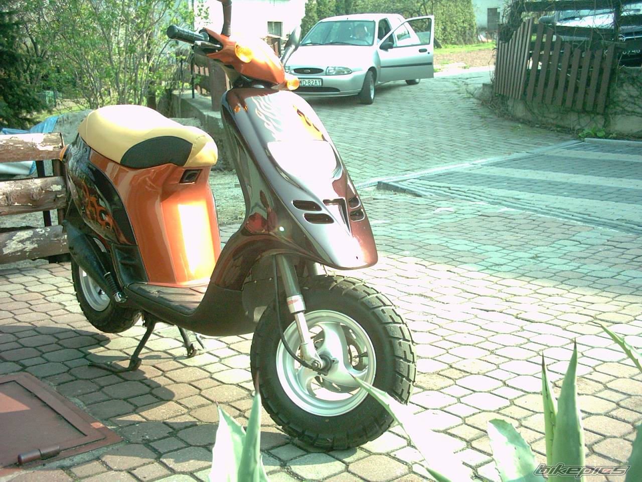 Photo 258644