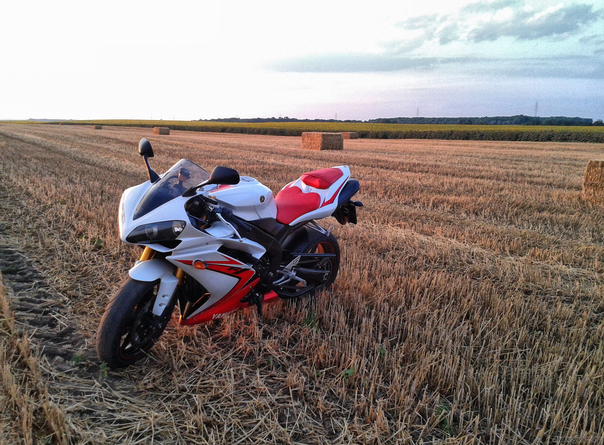 Photo 2586663