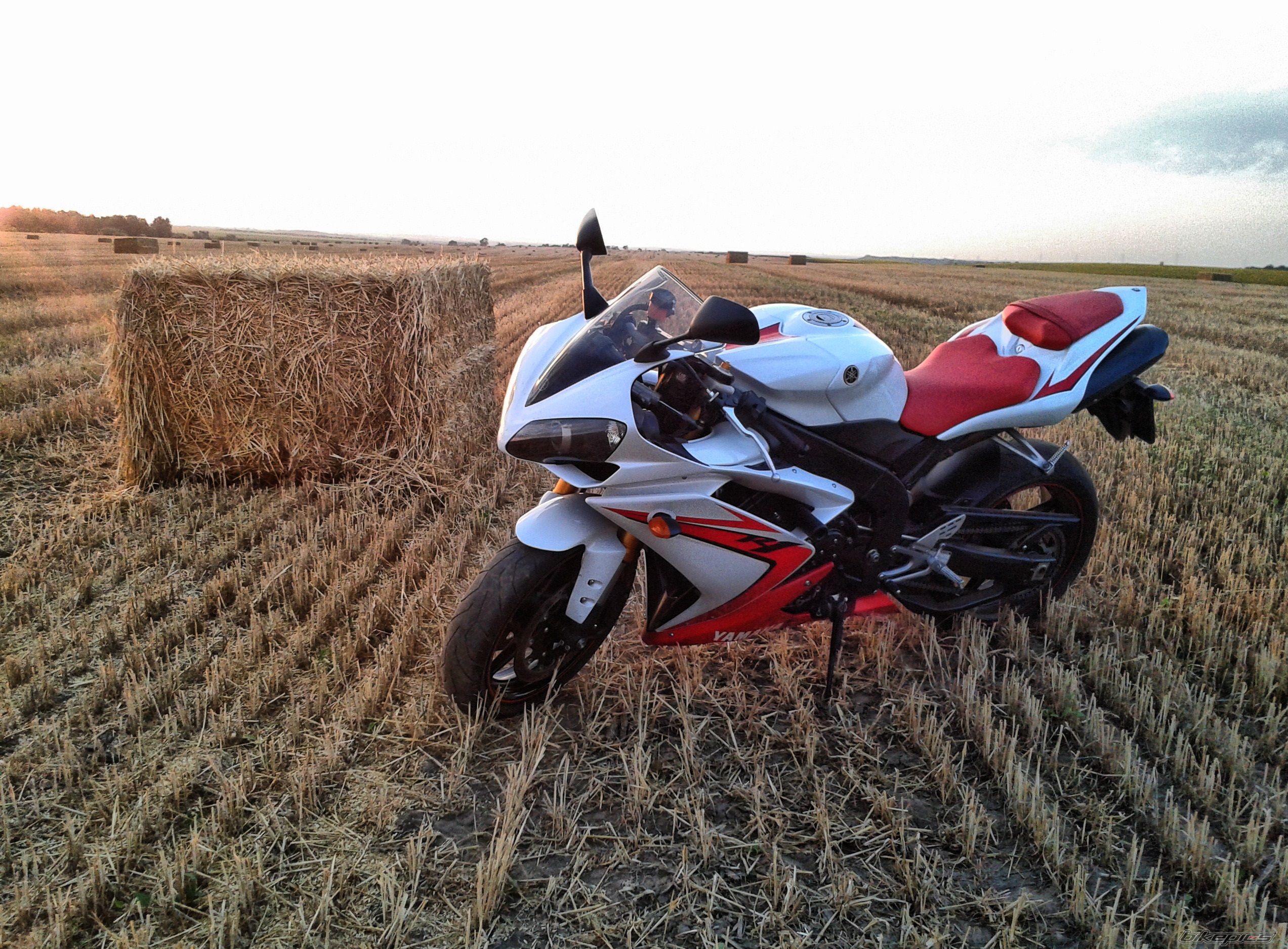 Photo 2586666