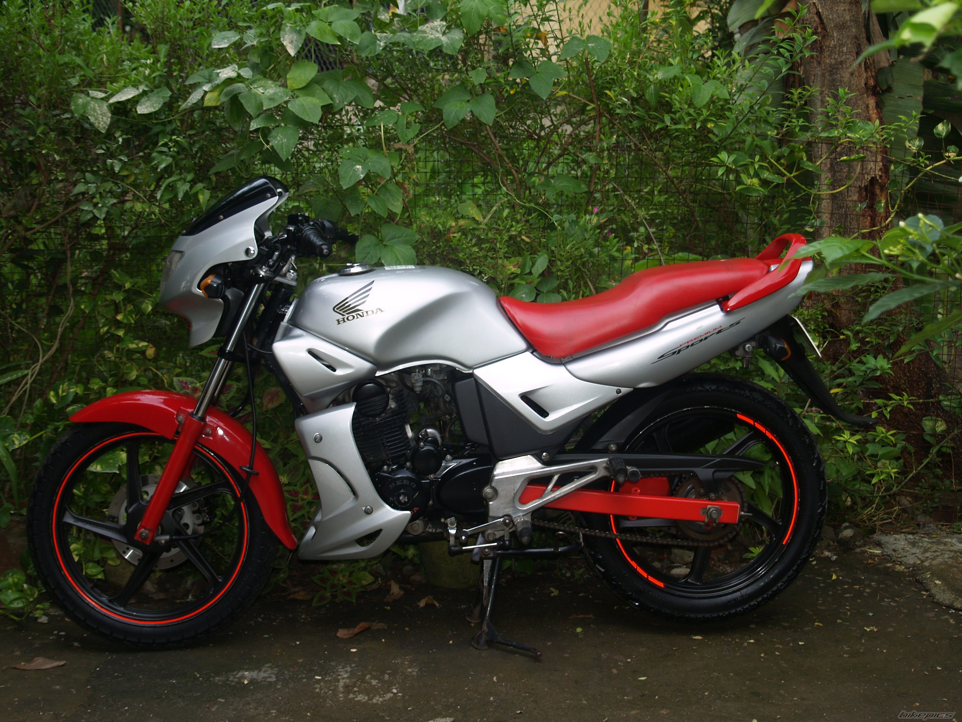 Photo 2586774
