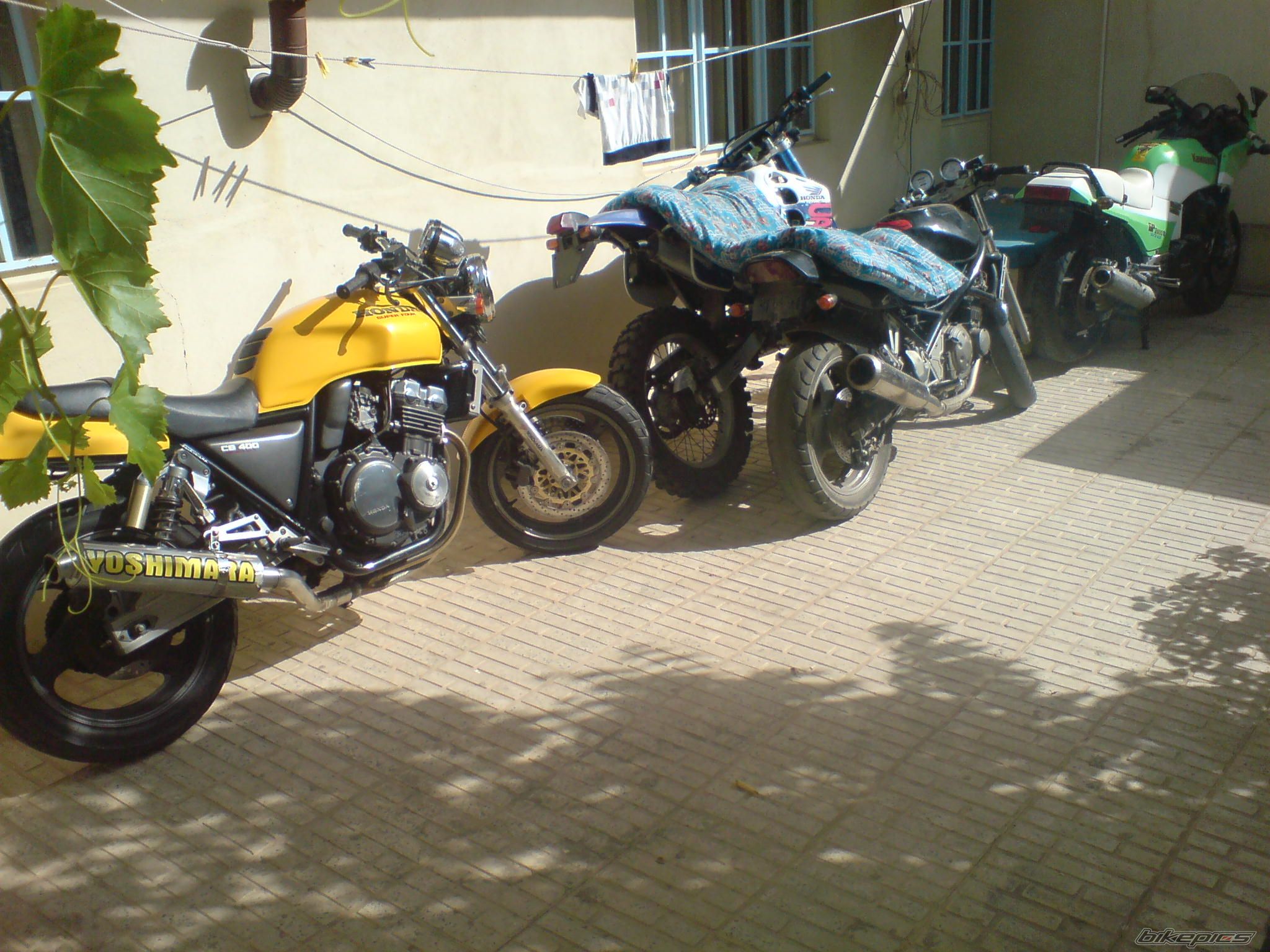 Photo 2586781