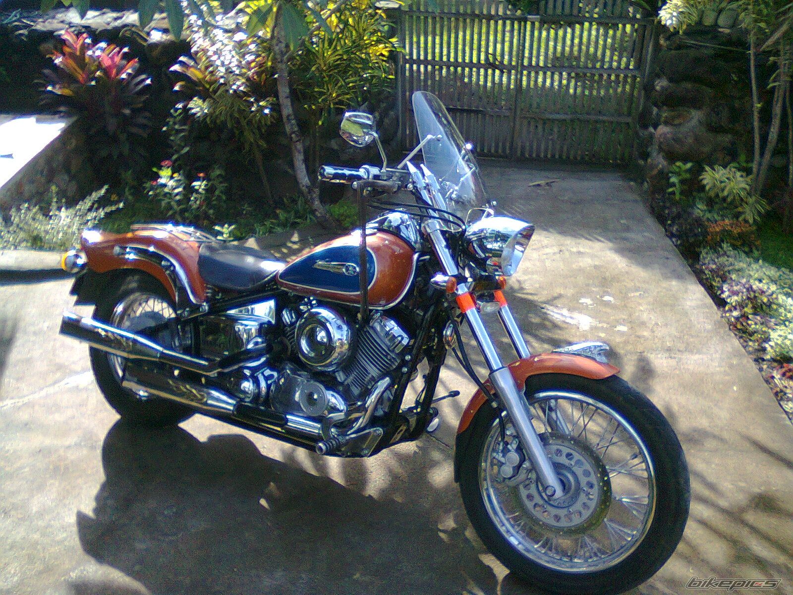 Photo 2586822