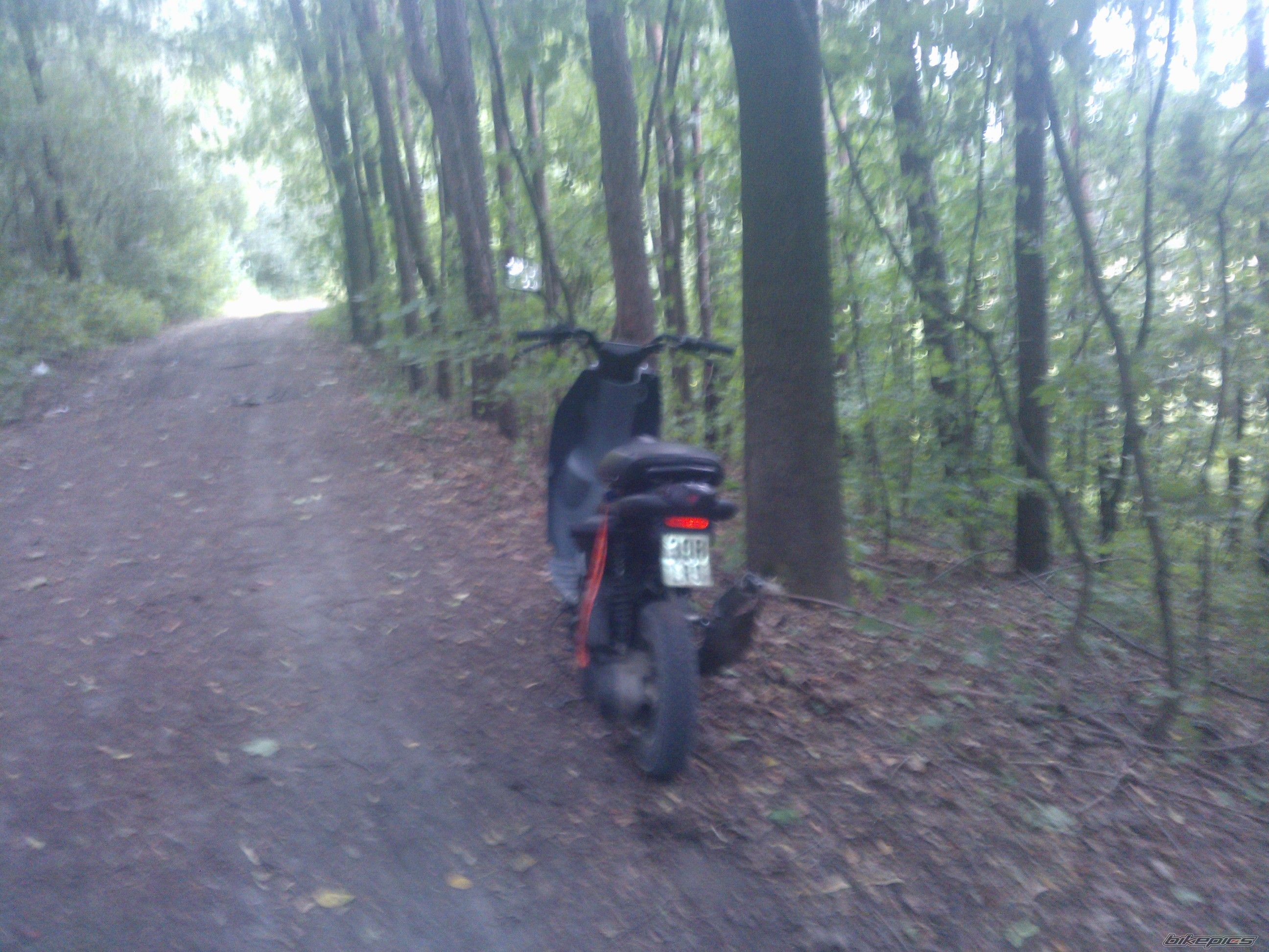 Photo 2586979