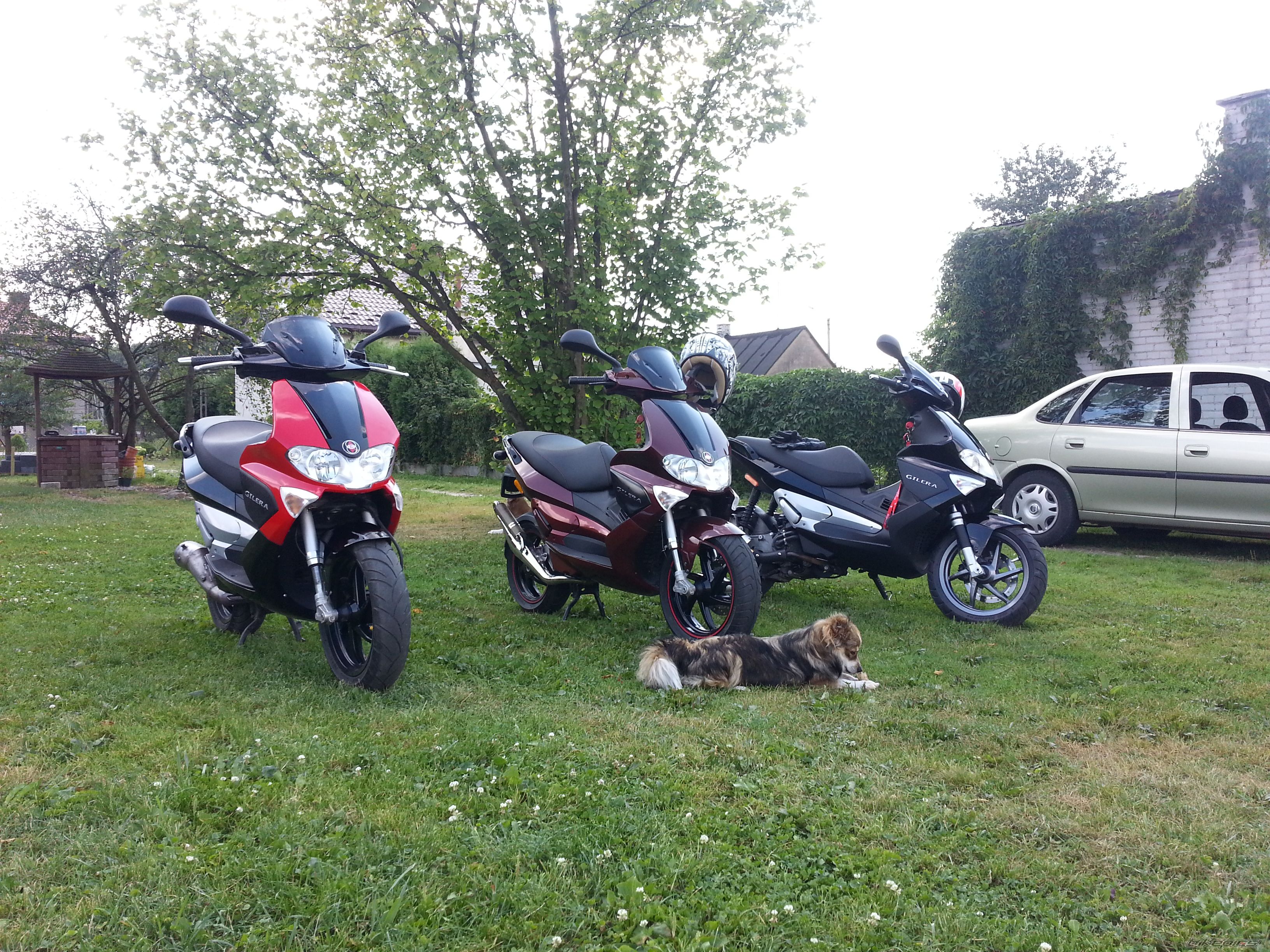 Bike Photo 2586992