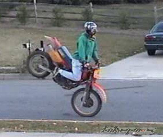 Photo 25870