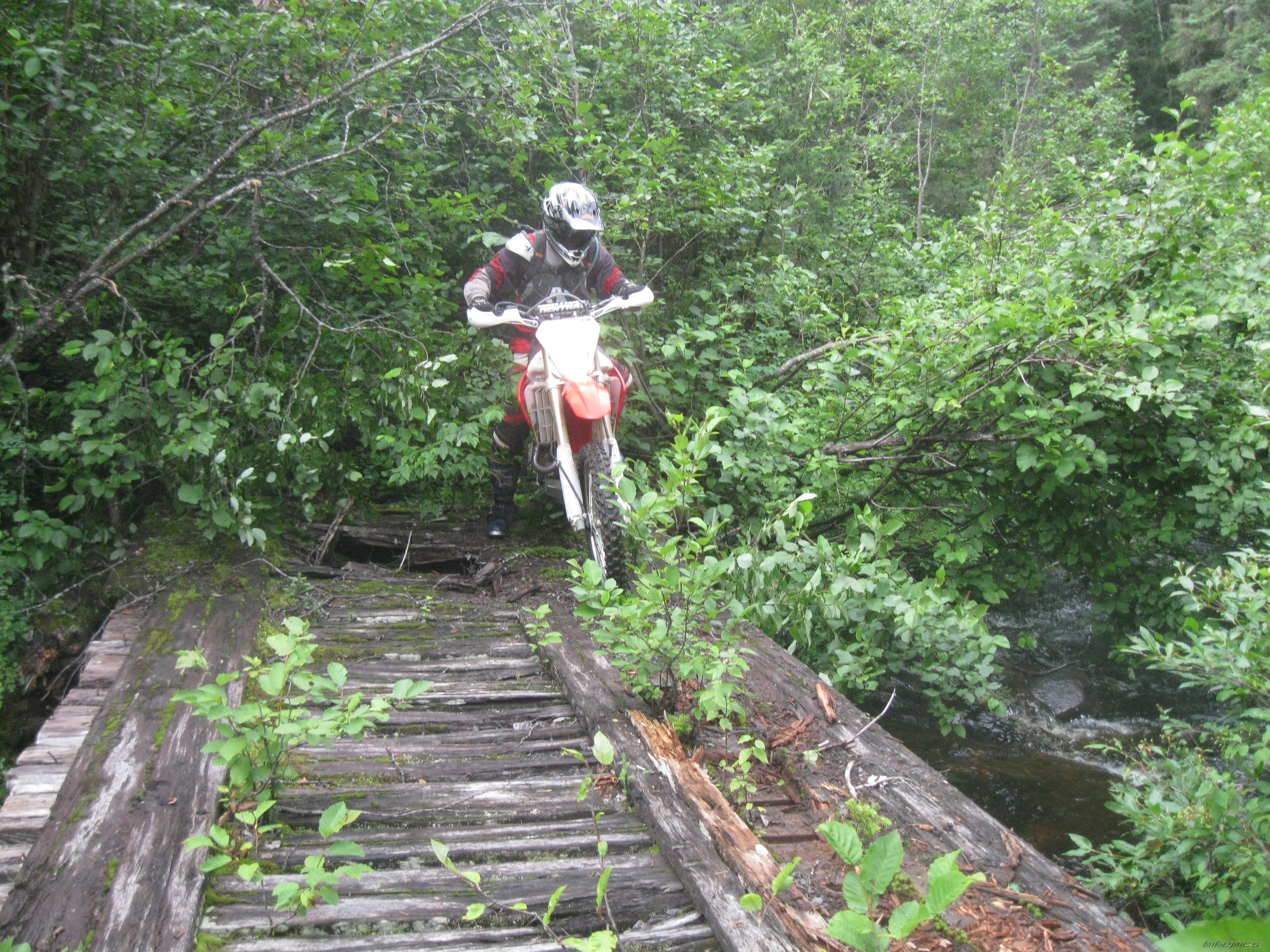Photo 2587007