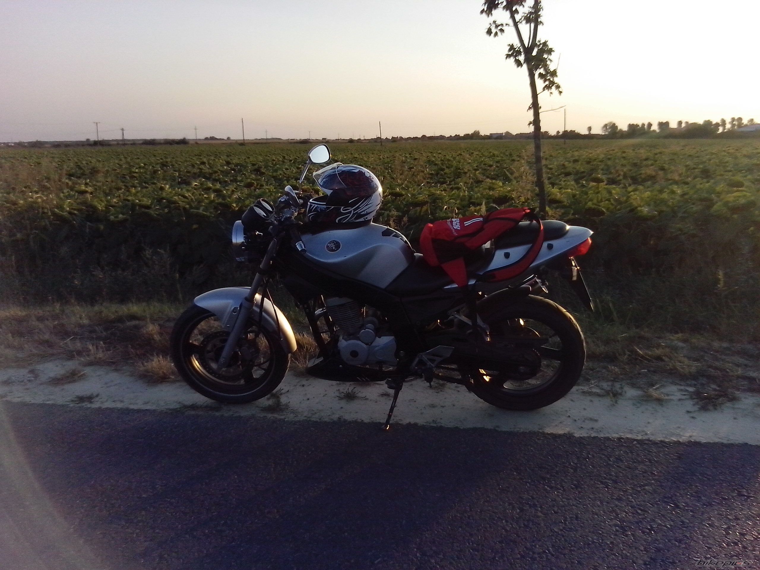 Photo 2587146