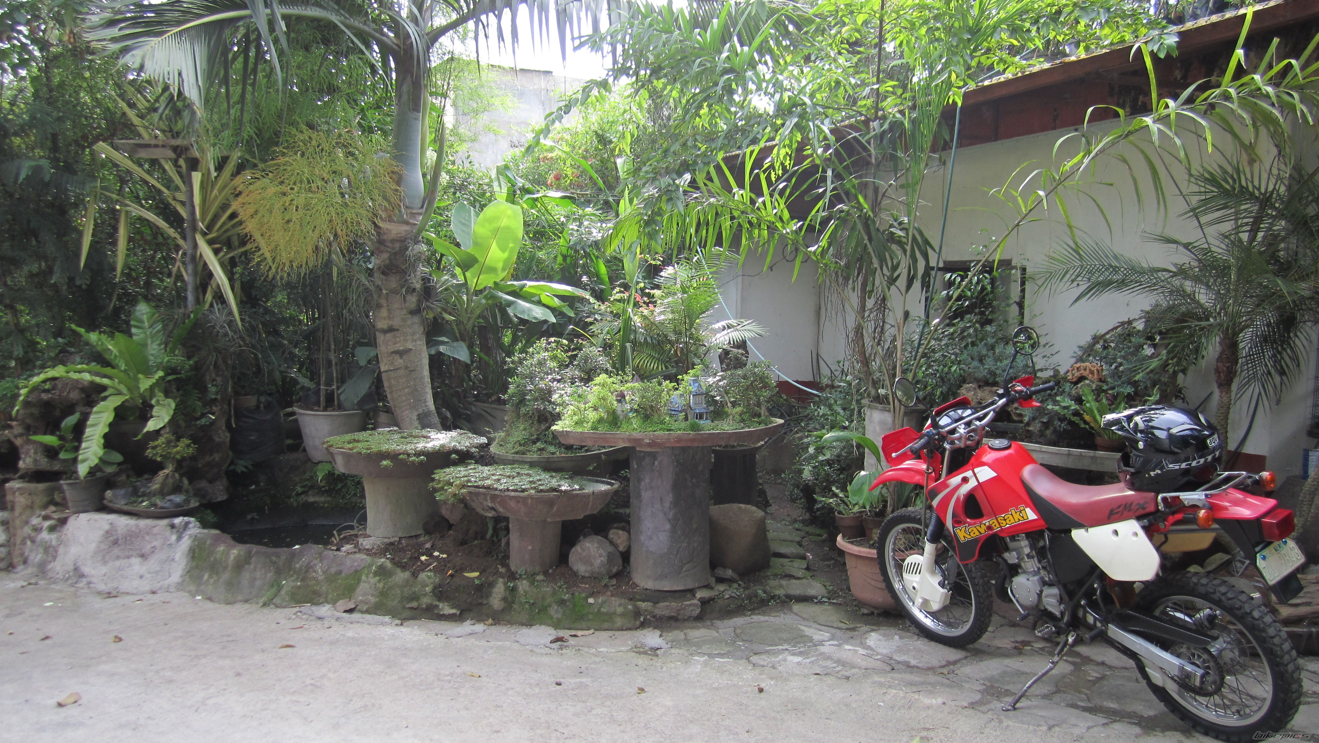 Photo 2587177
