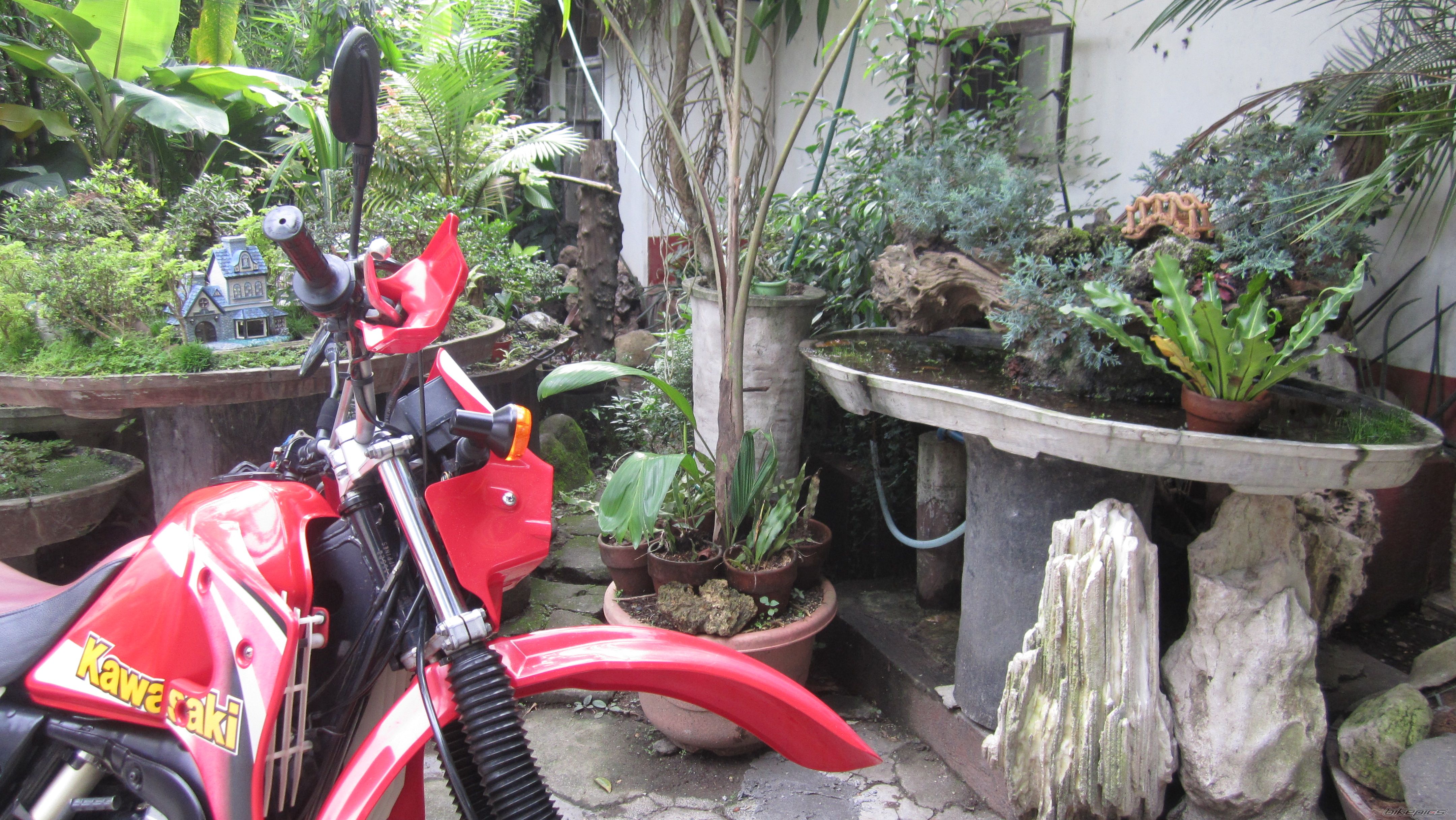 Photo 2587180