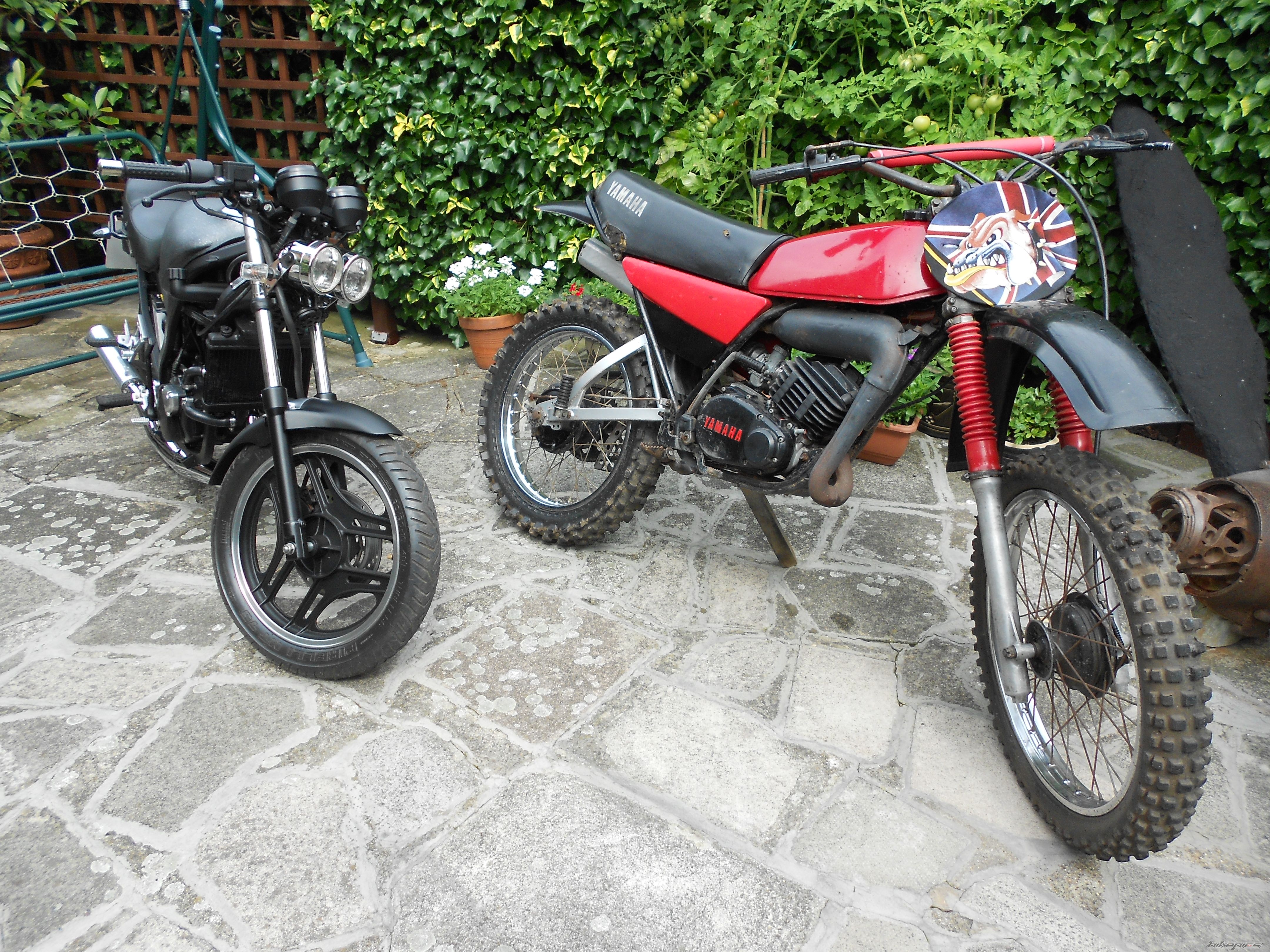 Photo 2587181