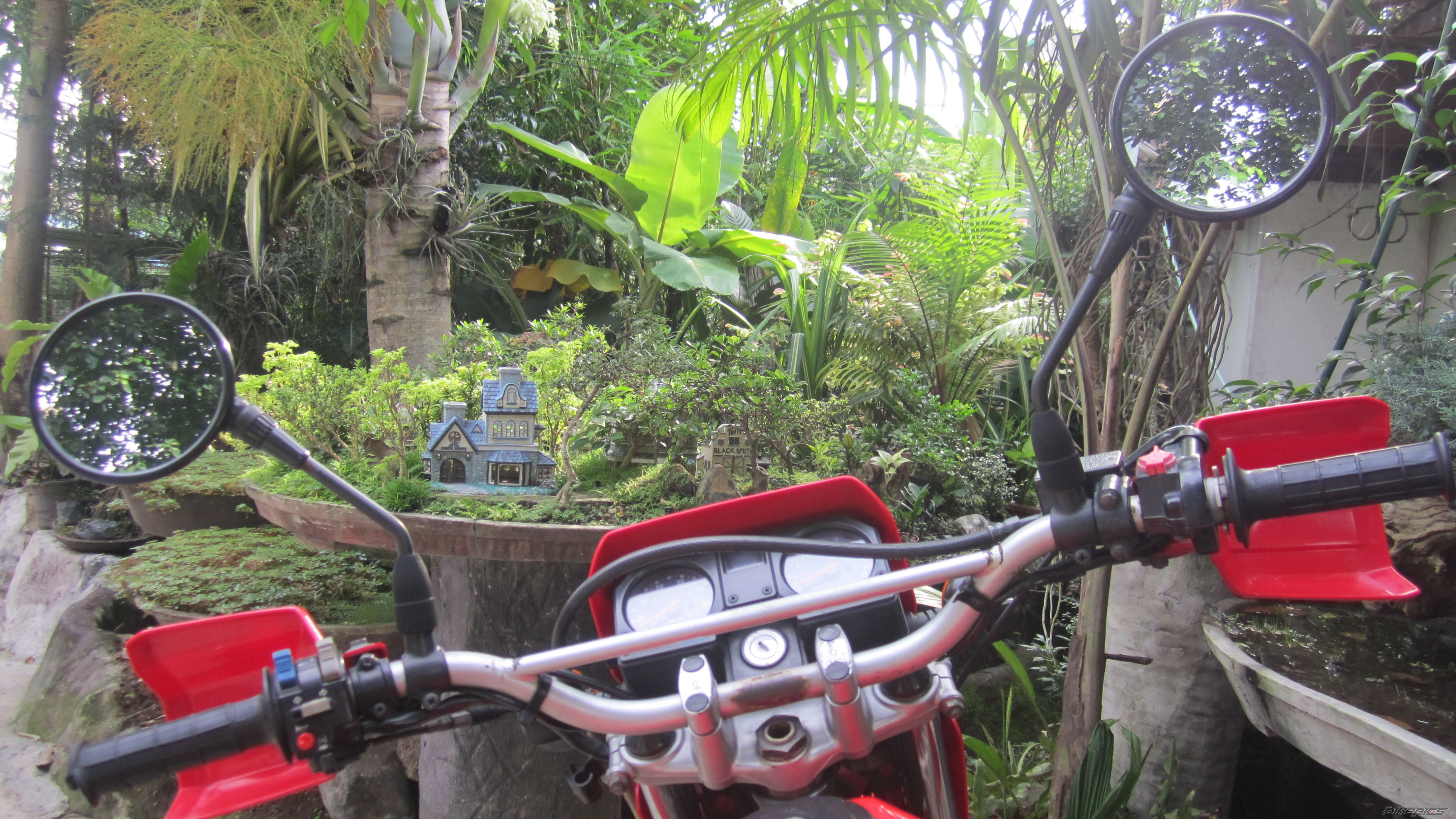 Photo 2587182