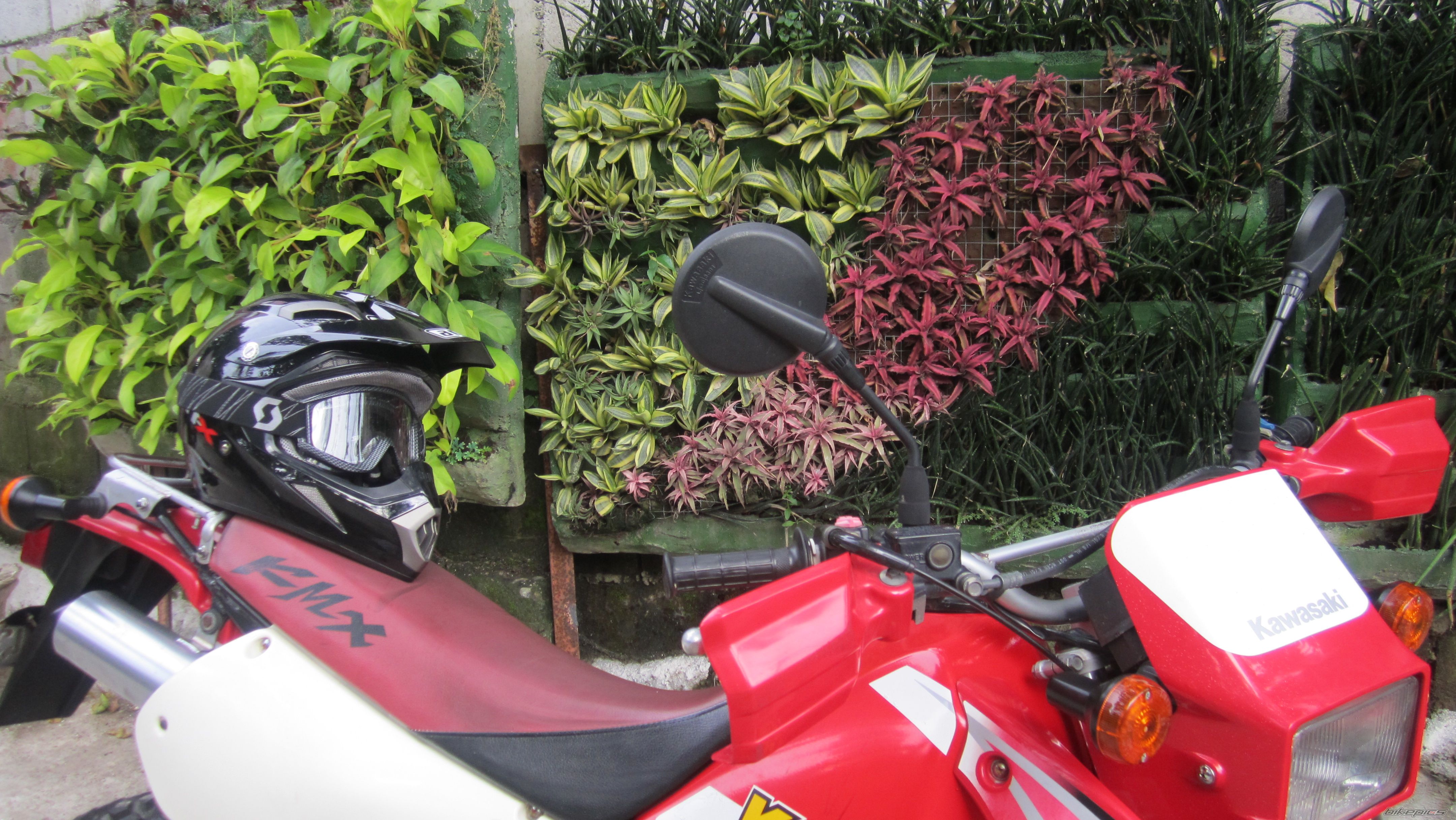 Photo 2587183