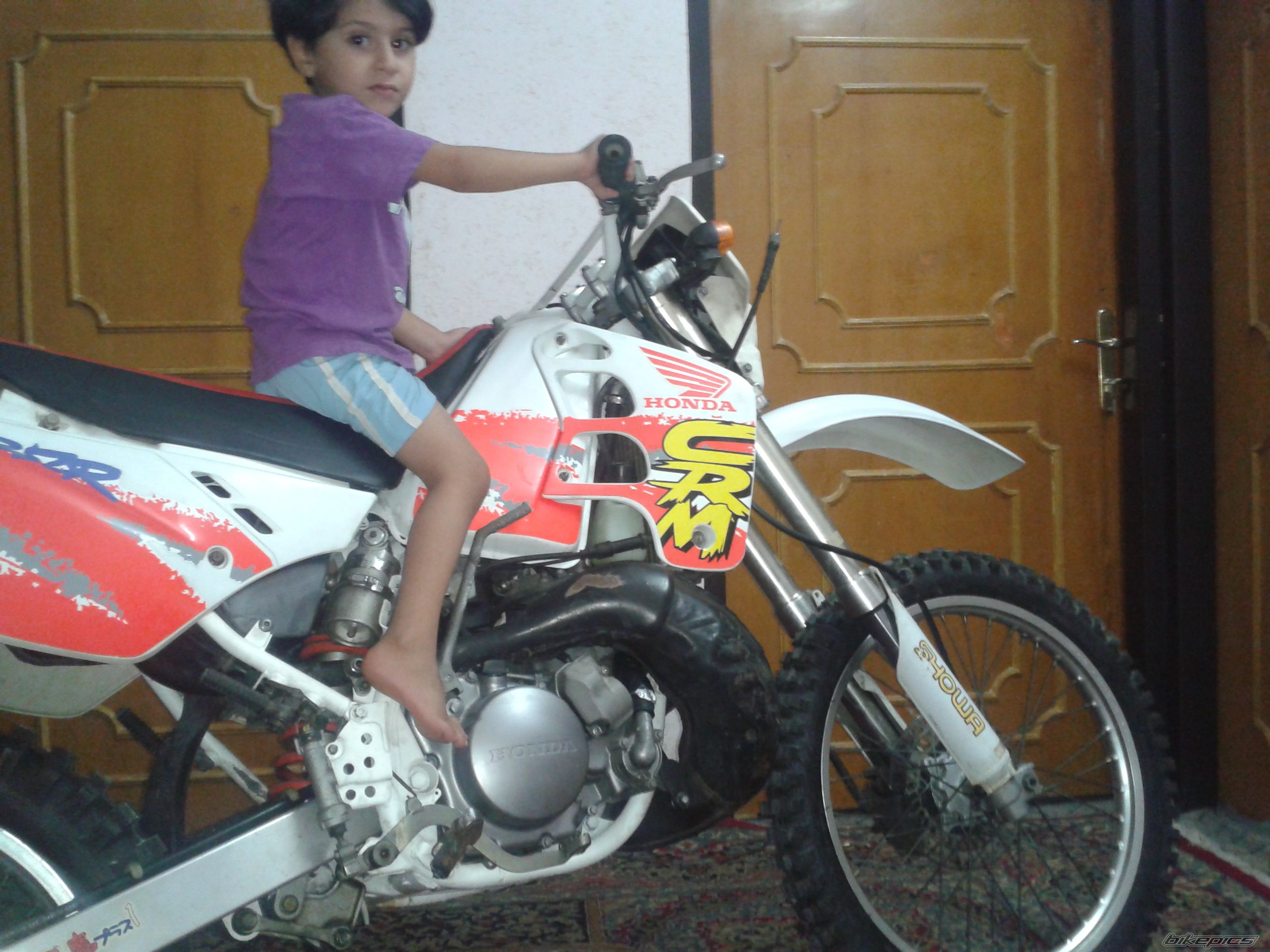Photo 2587241