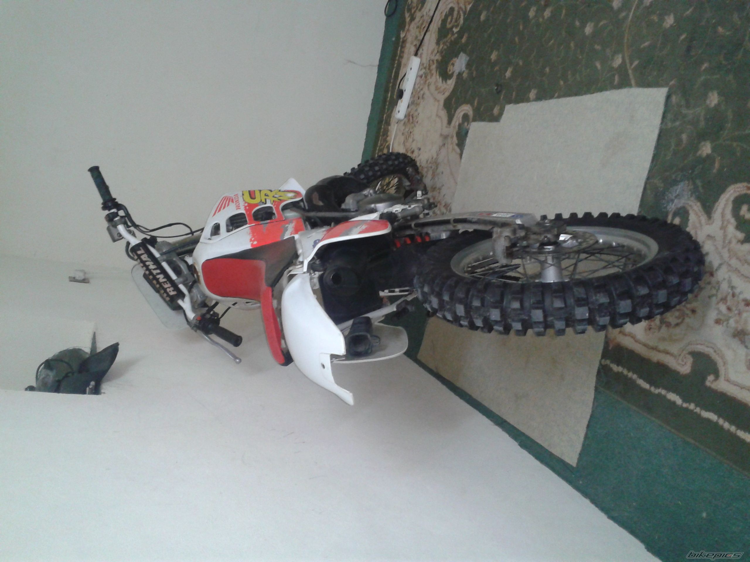 Photo 2587243