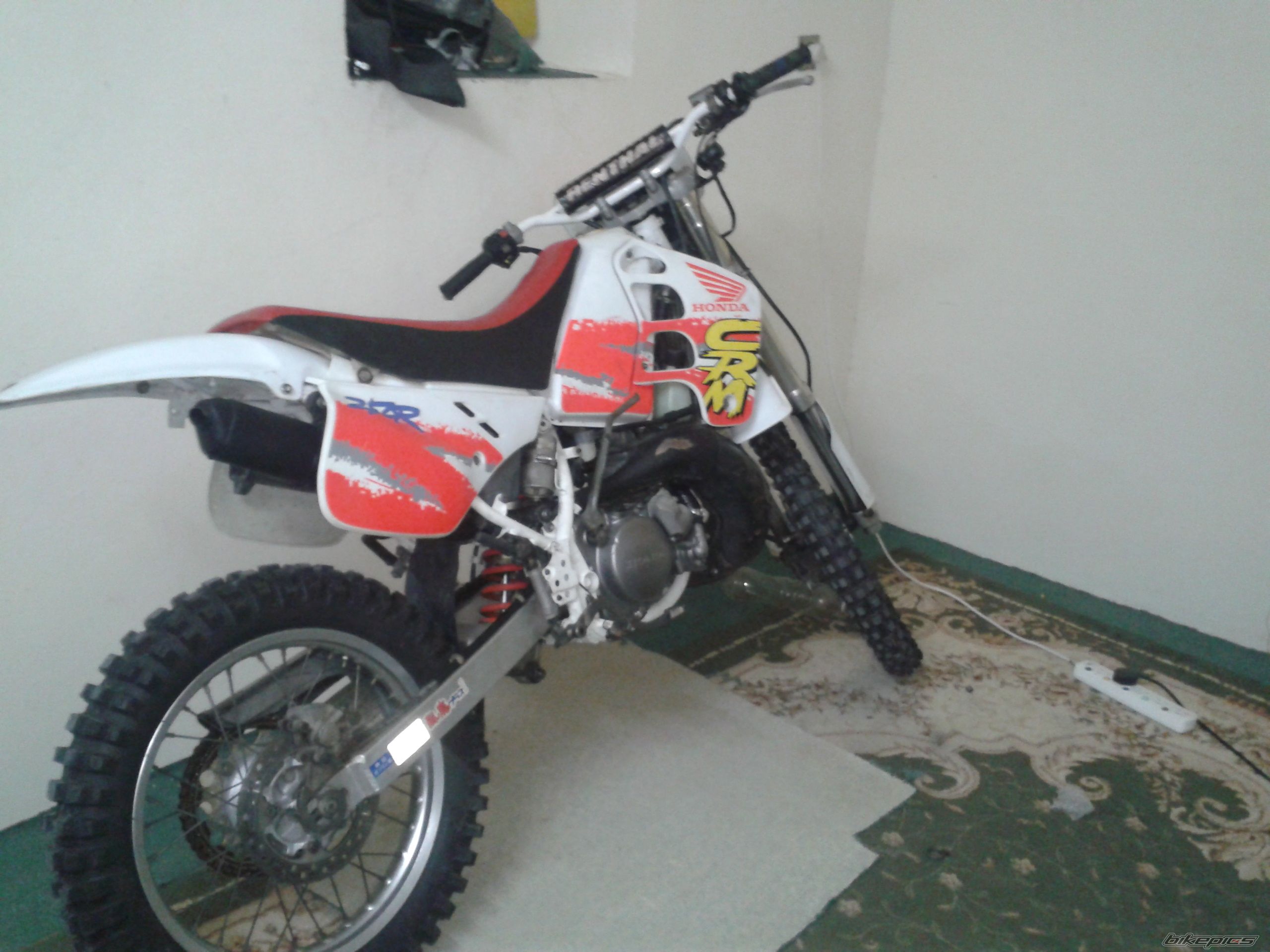 Photo 2587244