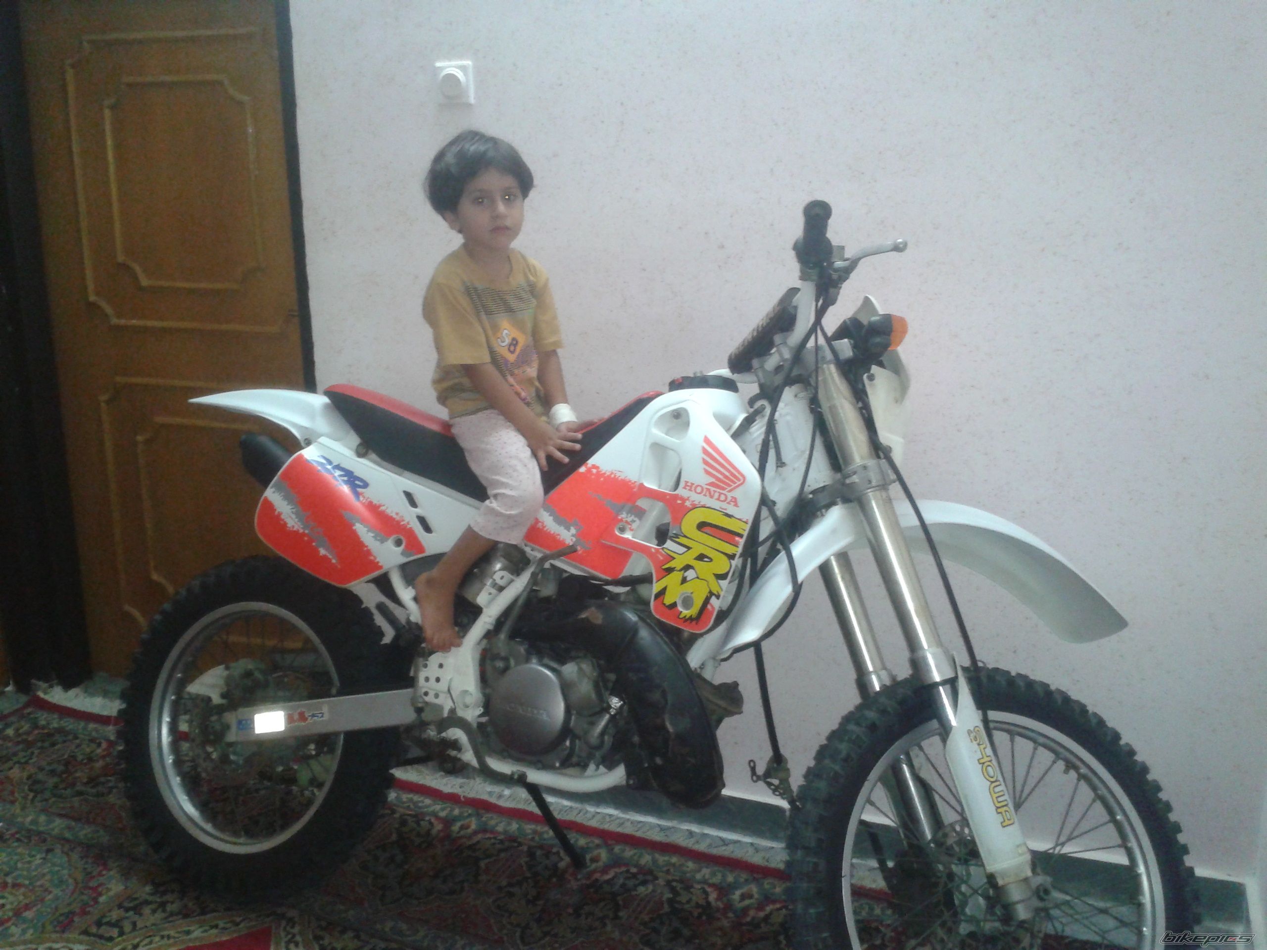 Photo 2587255