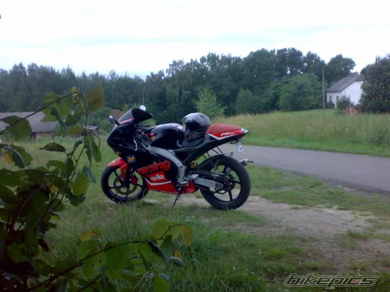 Photo 2587261