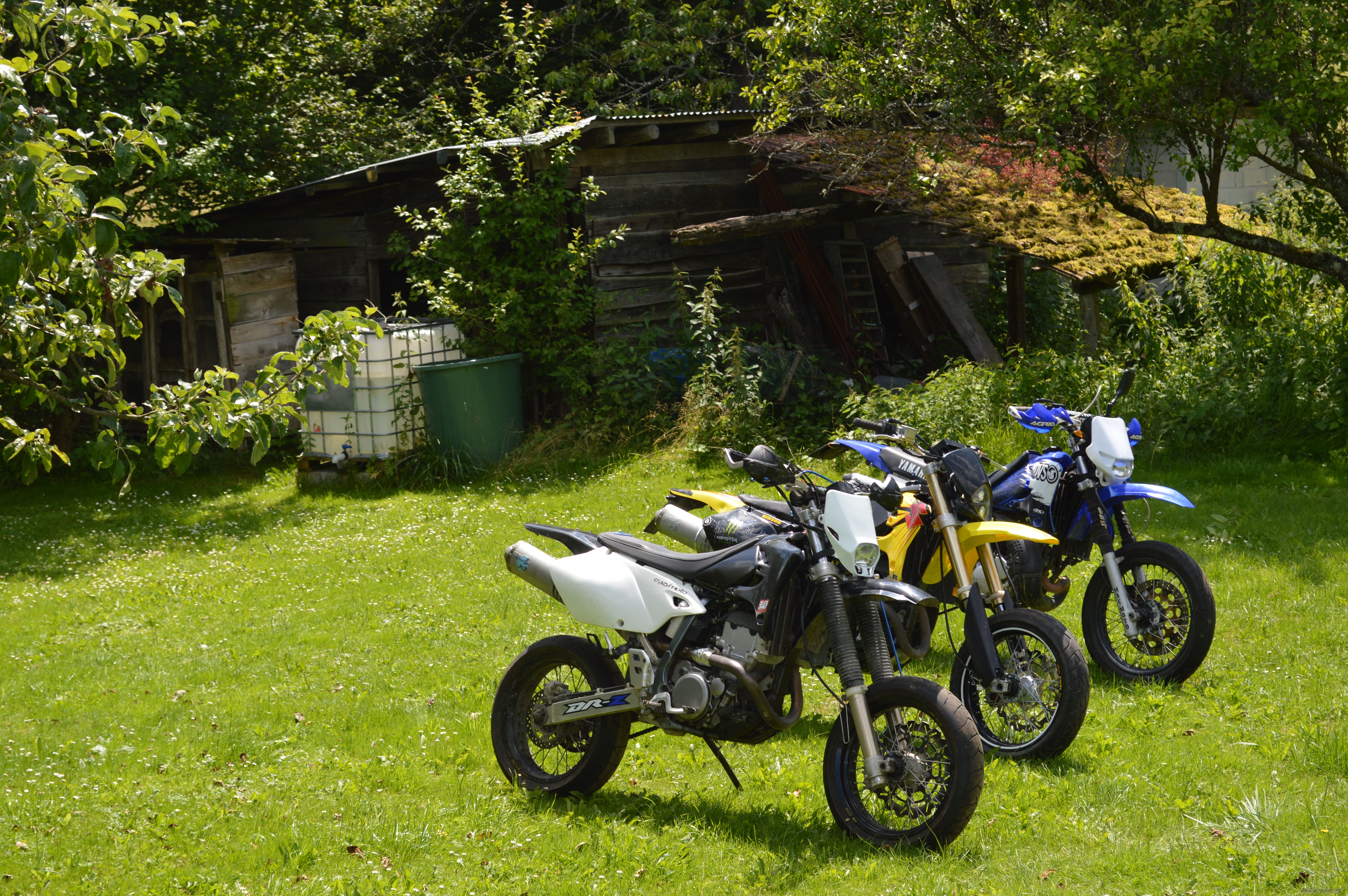 Photo 2587298