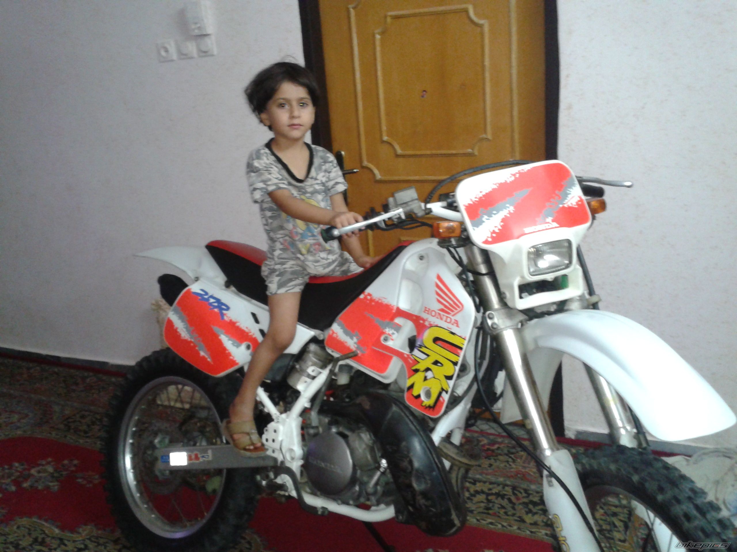 Photo 2587374