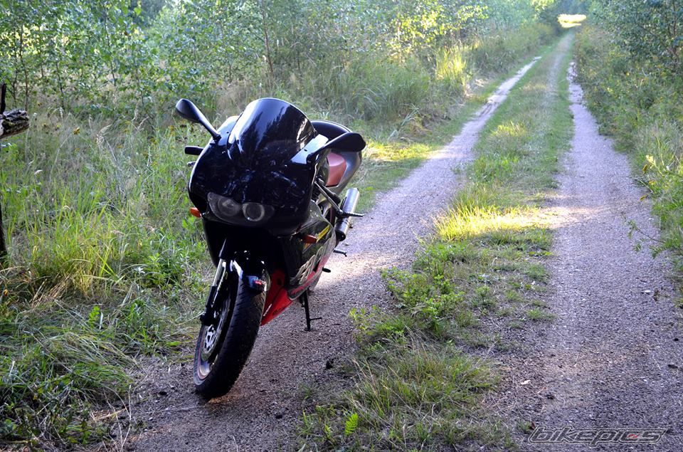 Photo 2587429