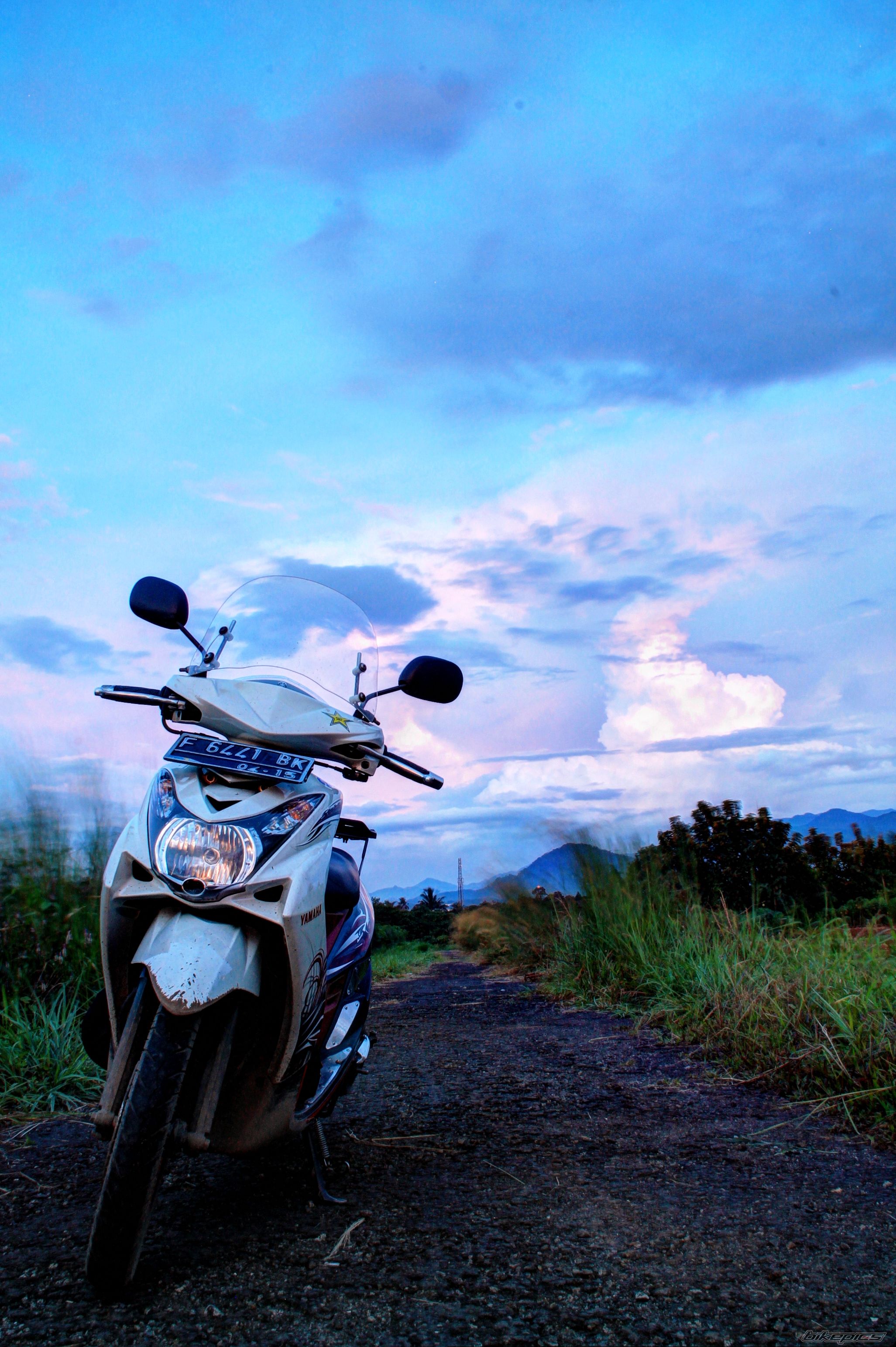 Photo 2587467