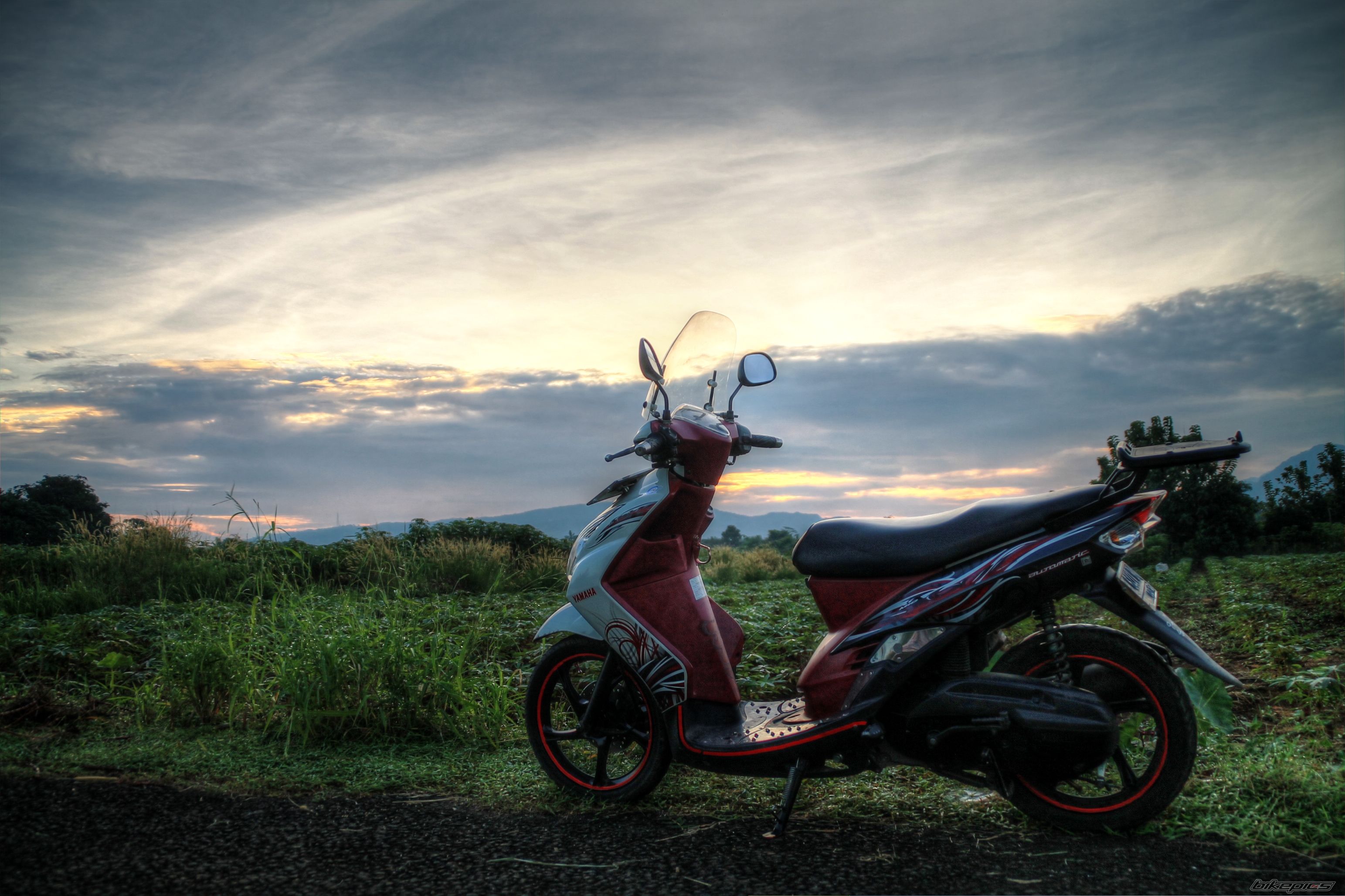 Photo 2587469