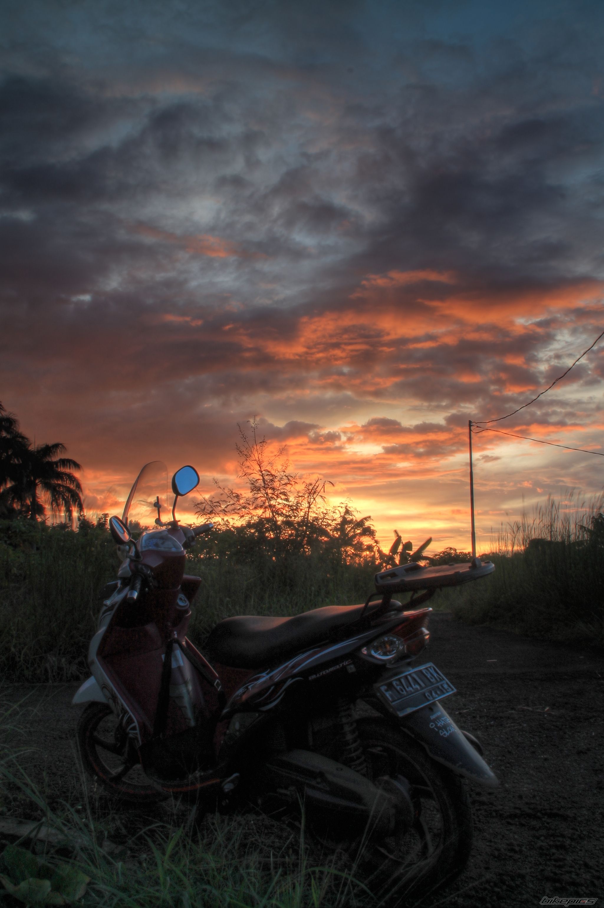 Photo 2587472