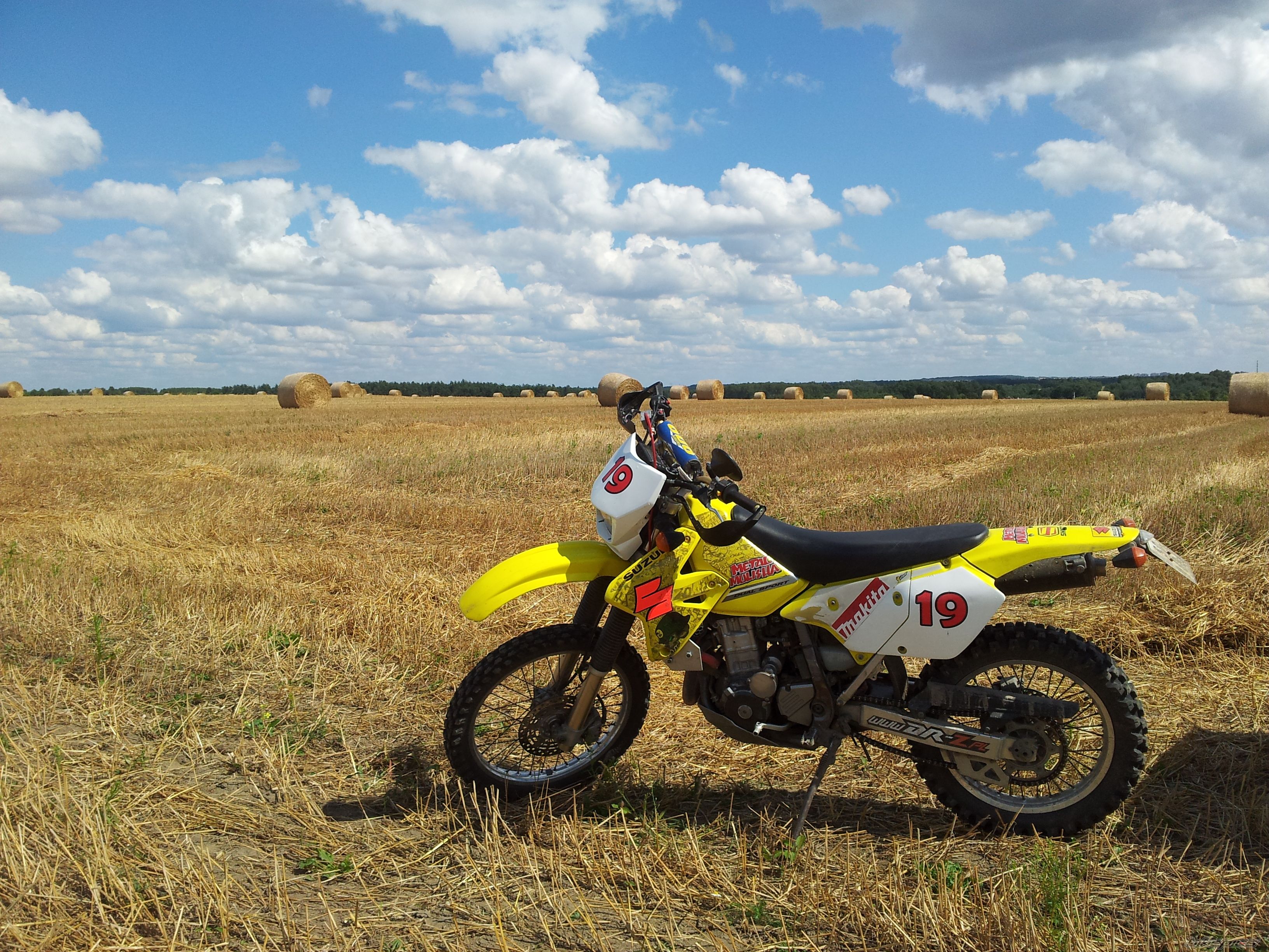 Photo 2587593
