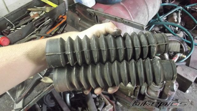 Photo 2587722