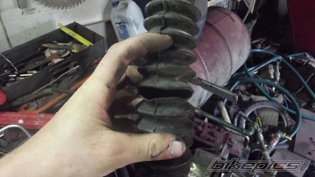 Photo 2587723