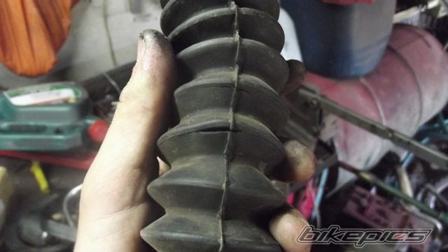Photo 2587724