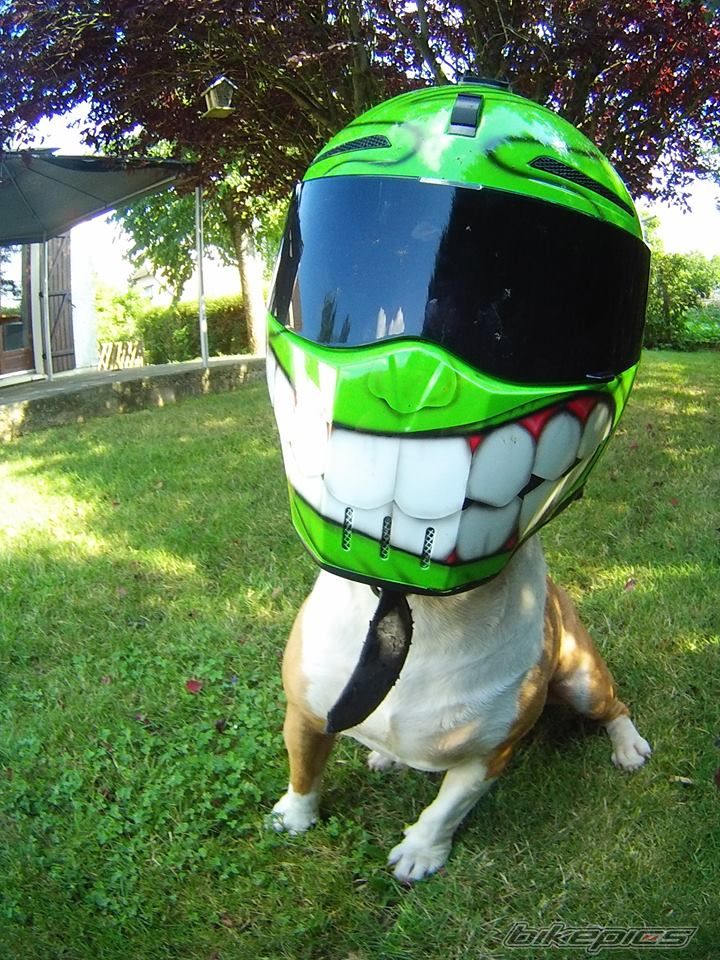 Bike Photo 2587728