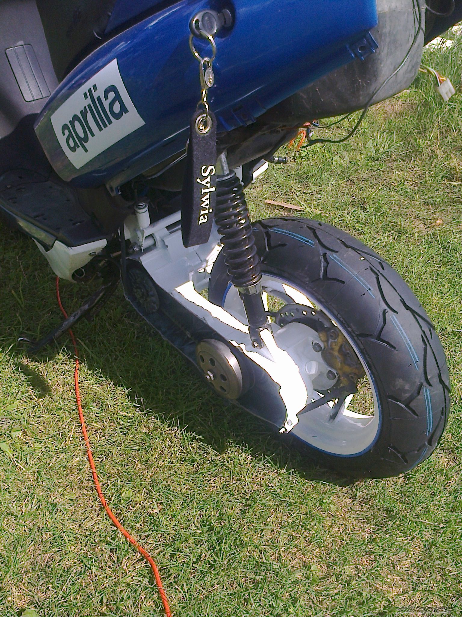 Photo 2587803