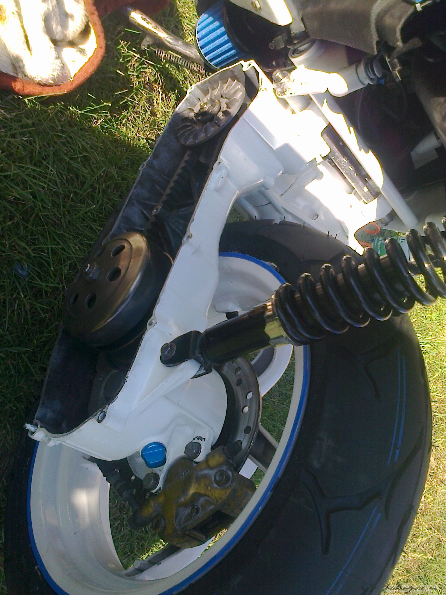 Photo 2587805