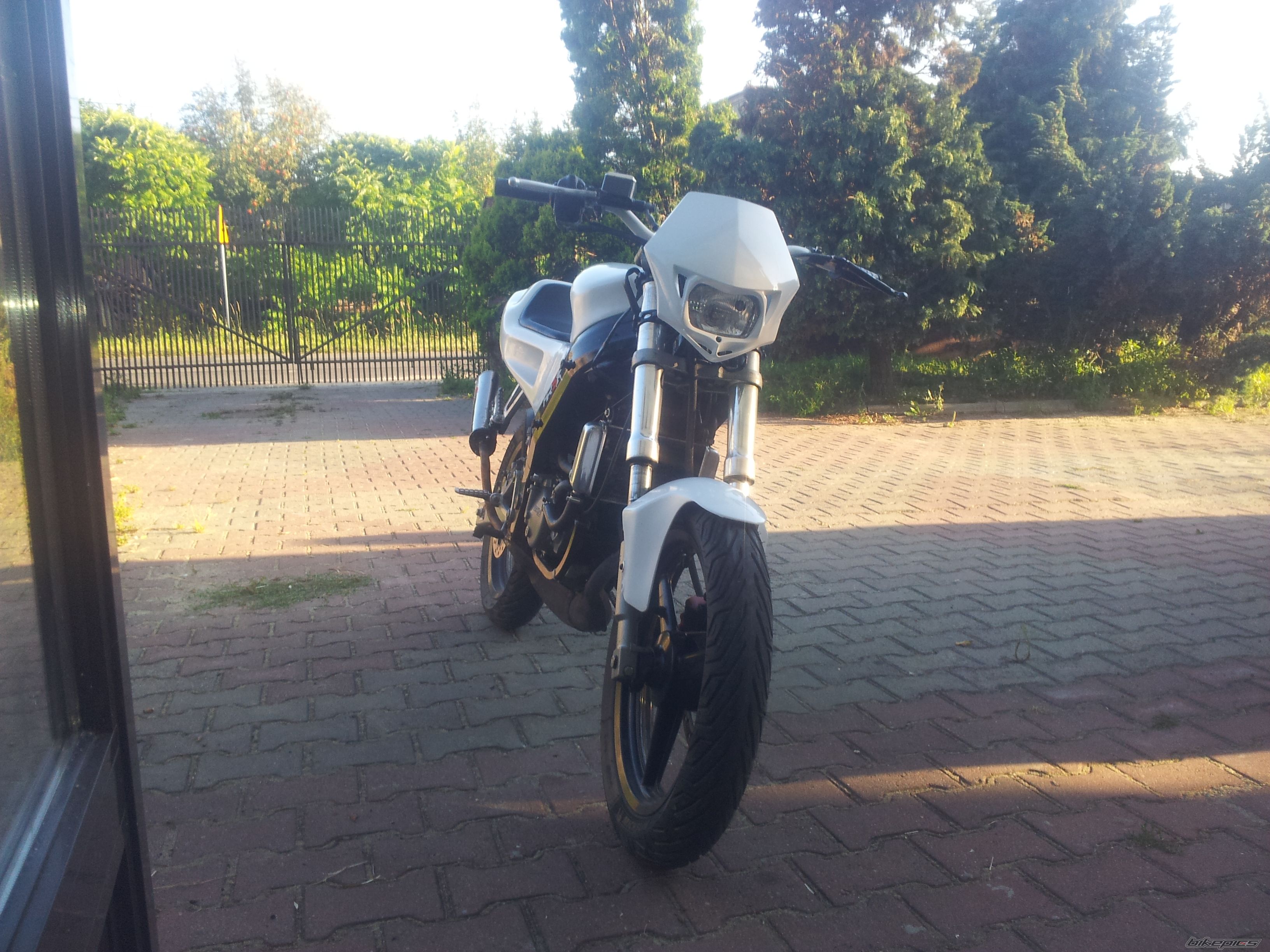 Photo 2587851