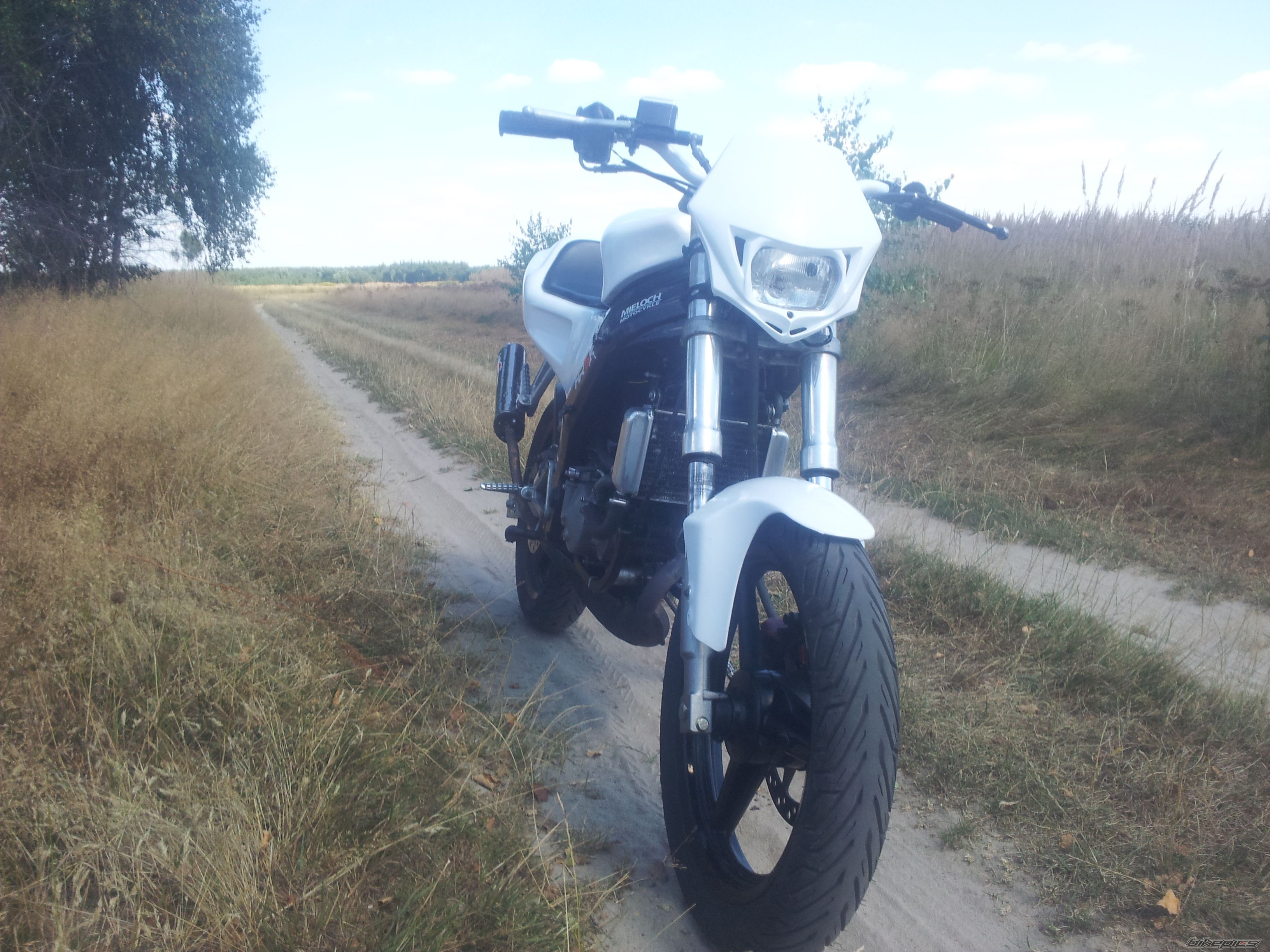 Photo 2587872