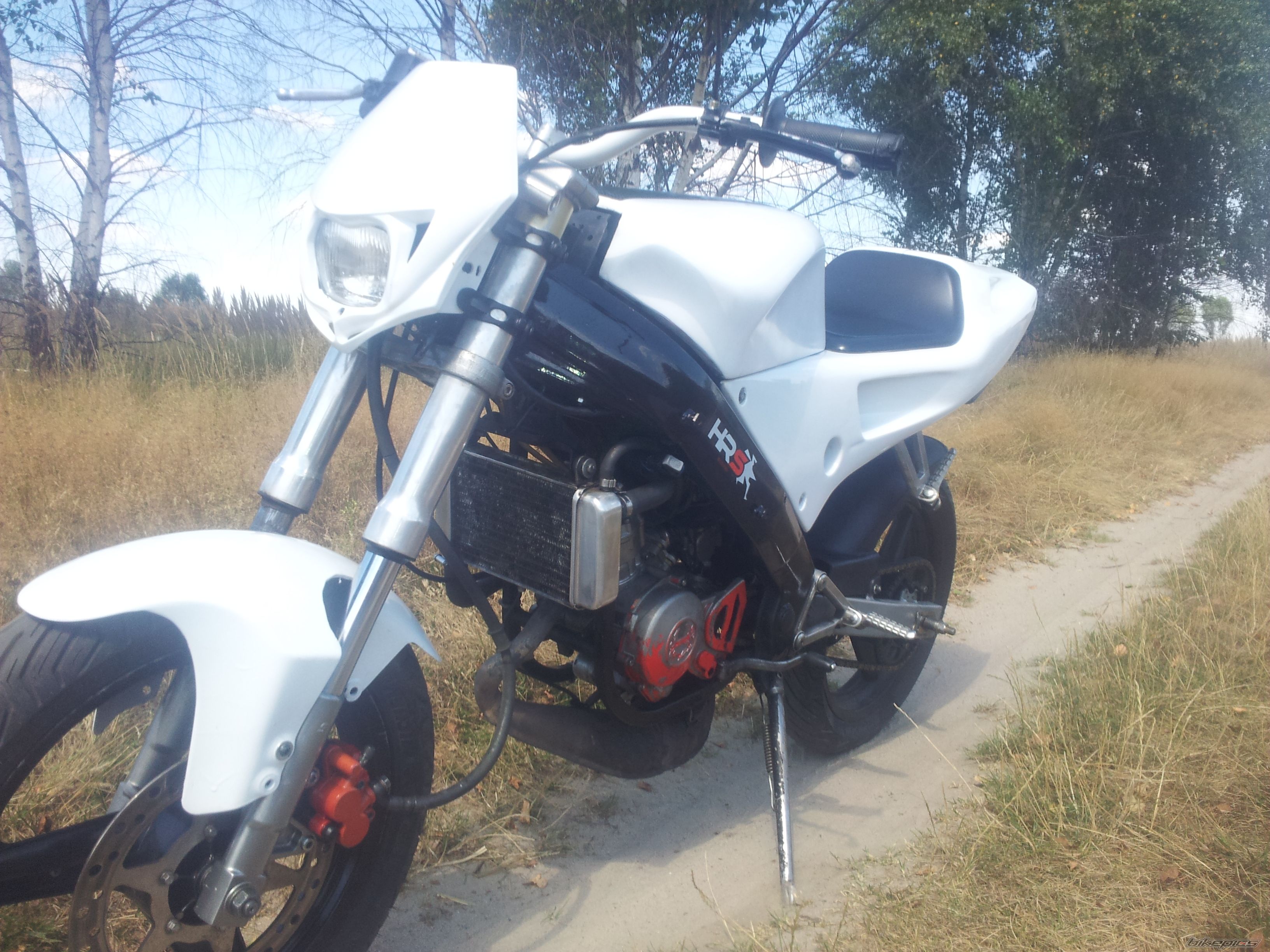 Photo 2587877