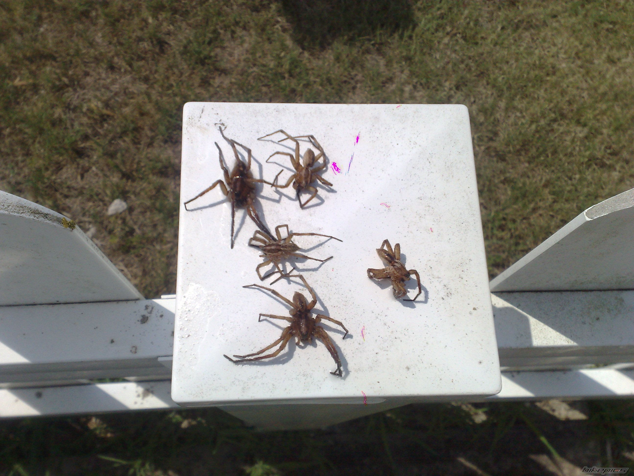 Photo 2587911