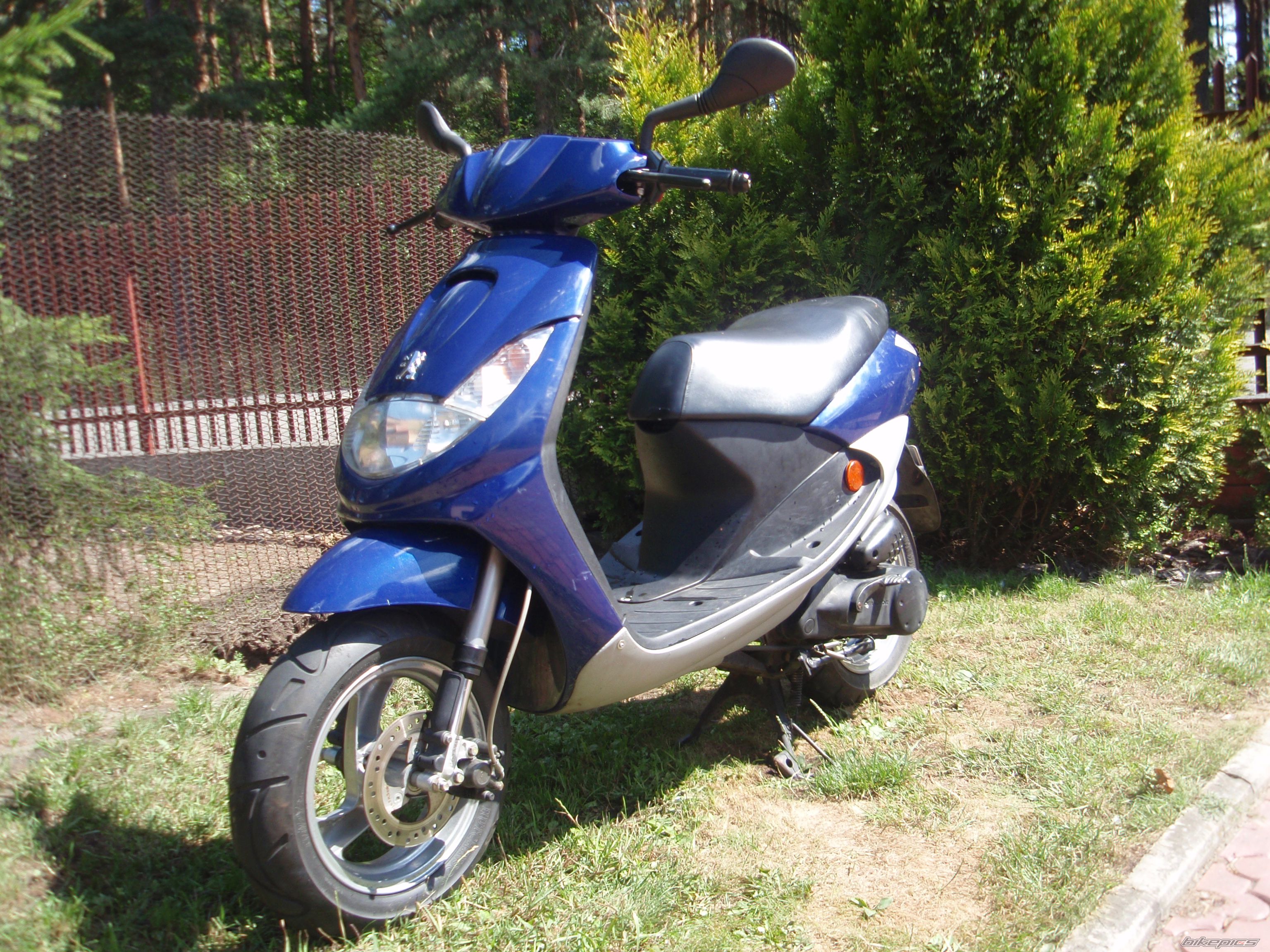 Photo 2587973