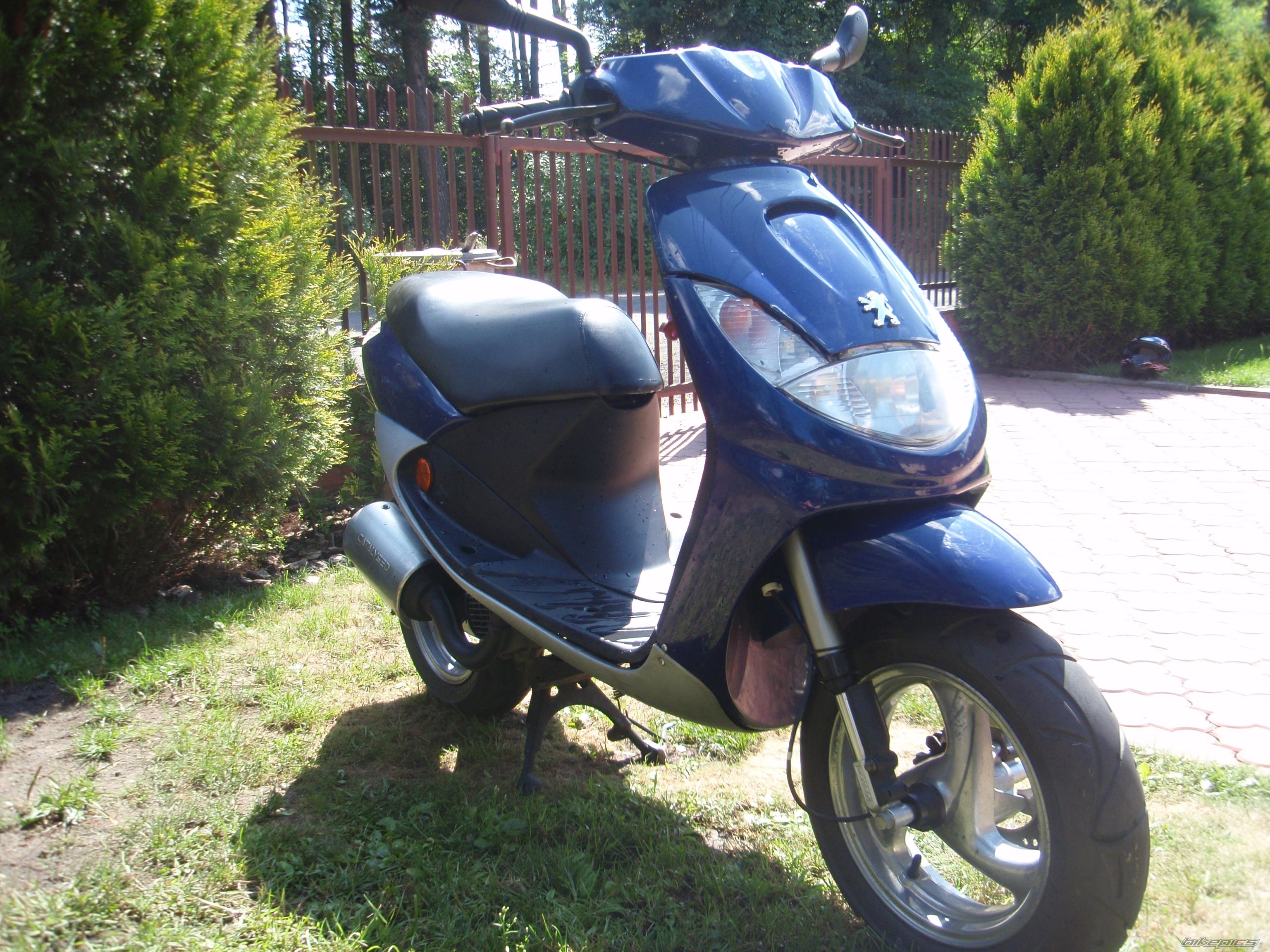 Photo 2587976