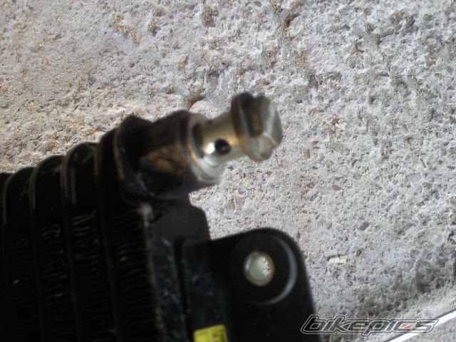 Photo 2588065